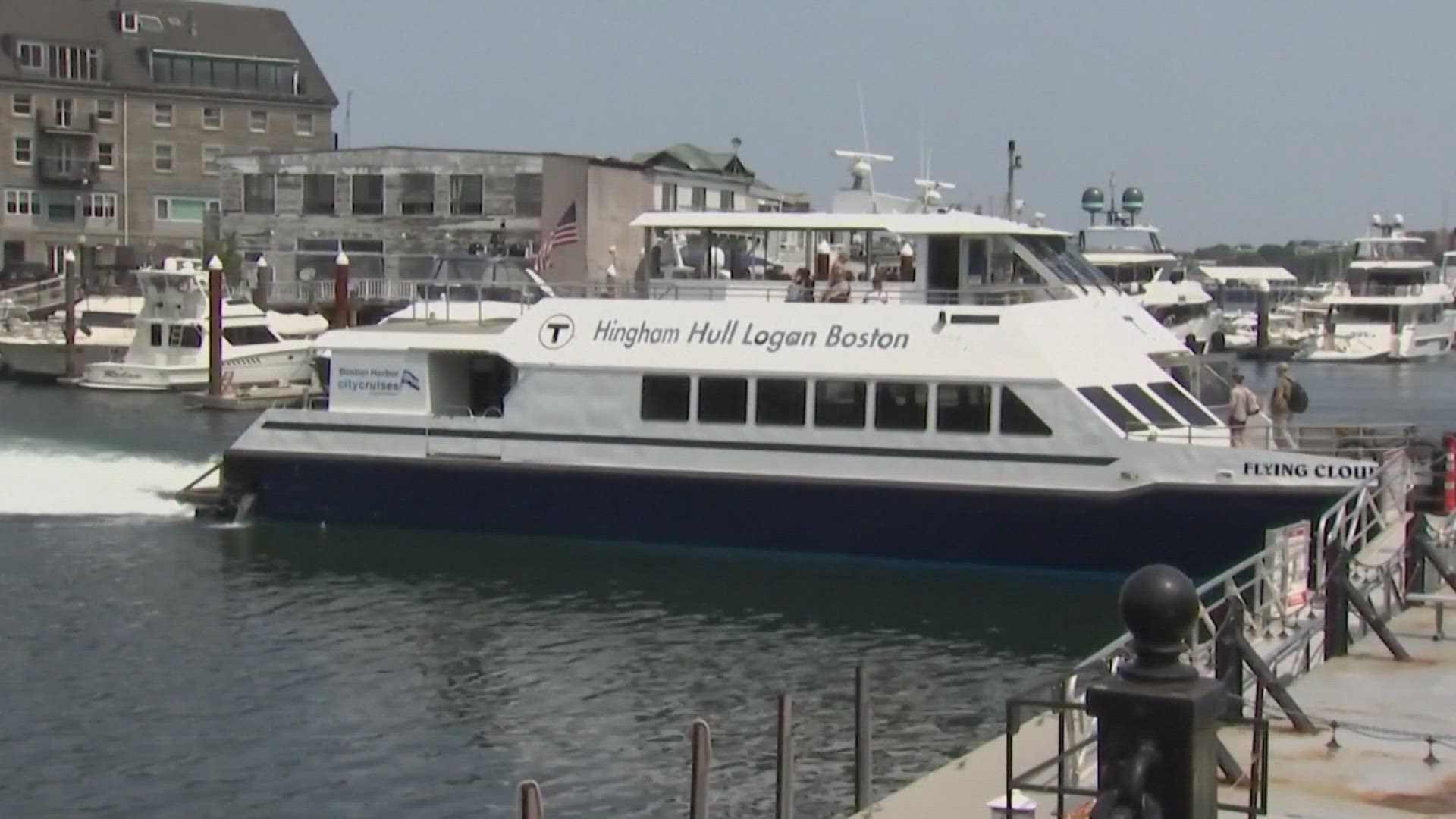 People taking ferries in Boston are being advised to carve out a little extra time because of the baby whale.