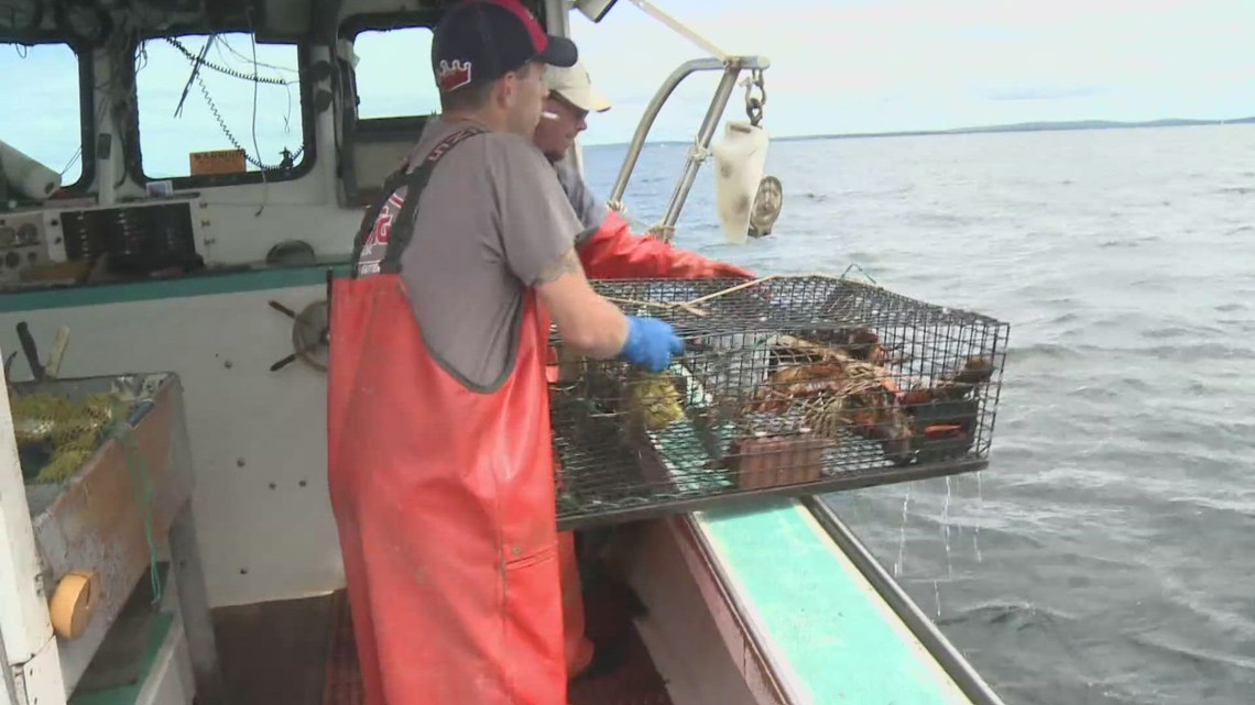 New USDA Office of Seafood could expand opportunities for Maine fishermen