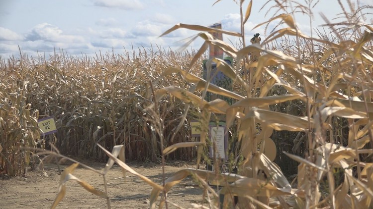 It's corn maze season. Find a maze near you.