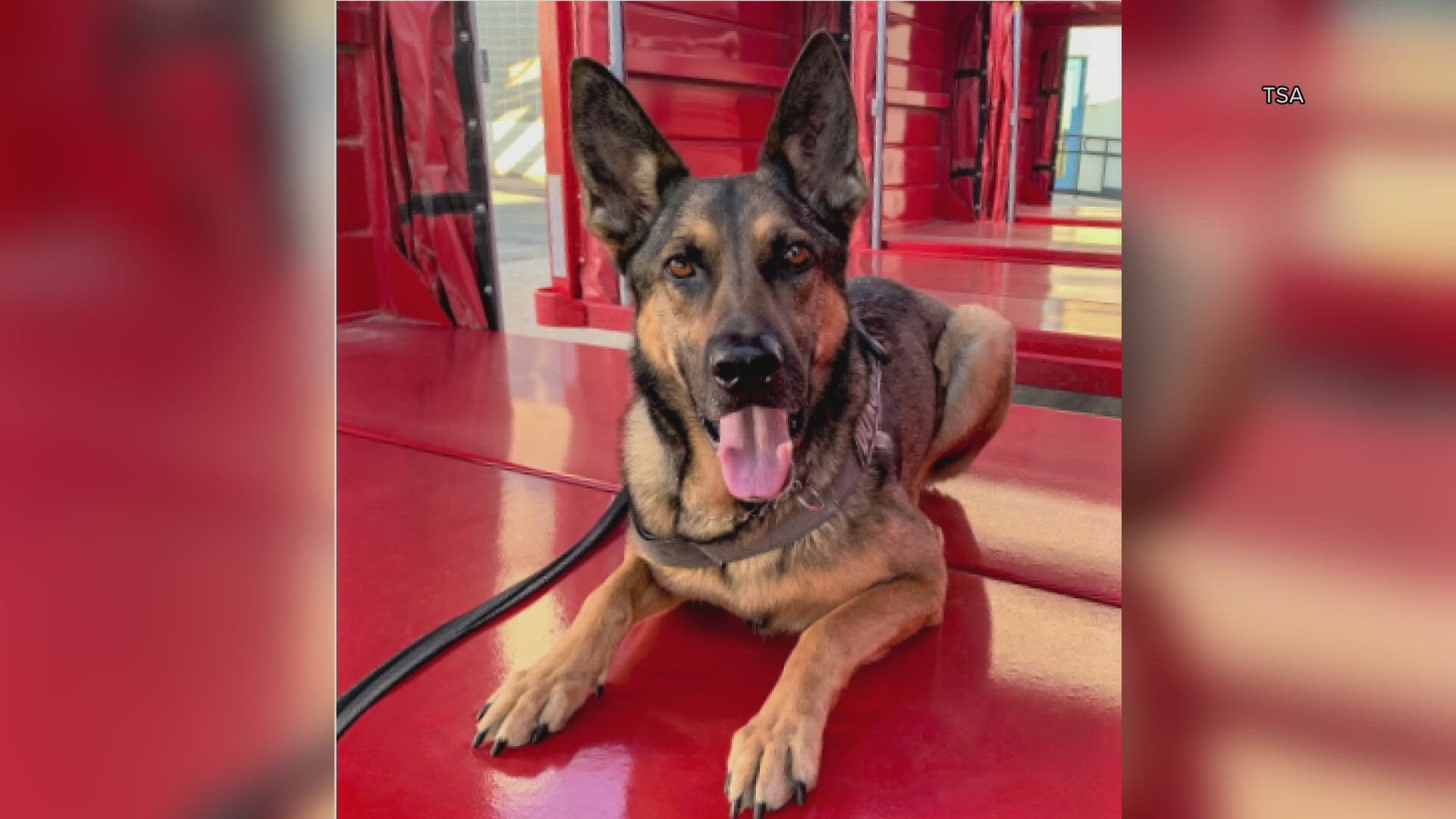 Bangor chooses new city assessor