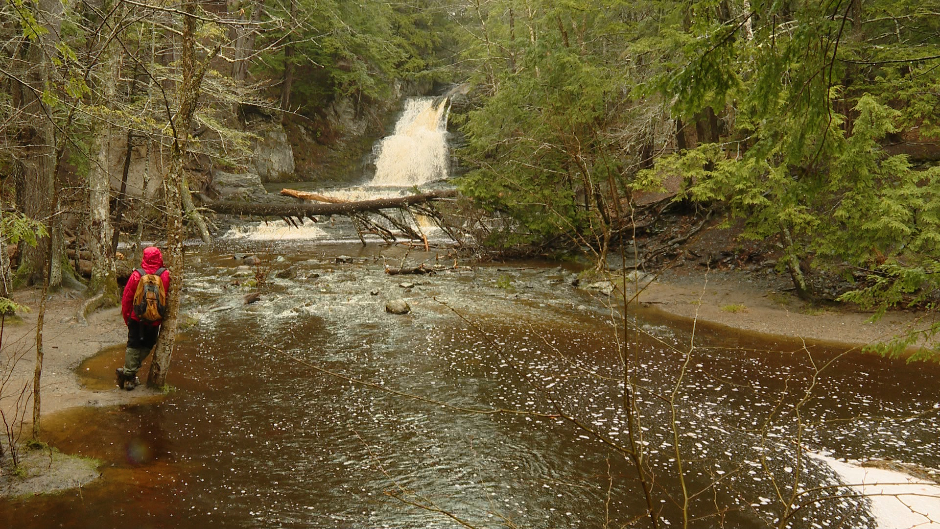 Going to a waterfall in the pouring rain adds a fourth dimension to the experience. Get a Breath of Fresh Air at Cascade Falls in Saco.