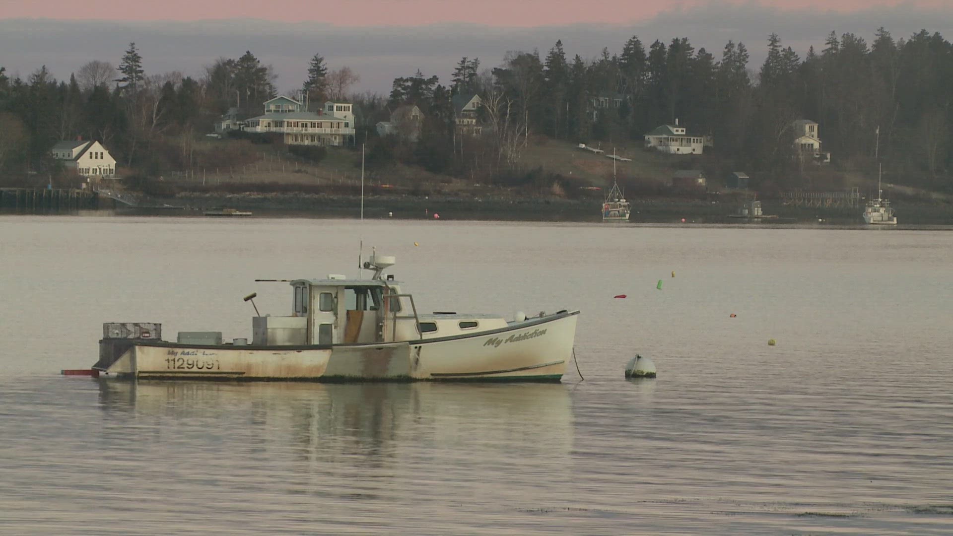 The damage is everywhere Harpswell harbor master stunned by storm damage