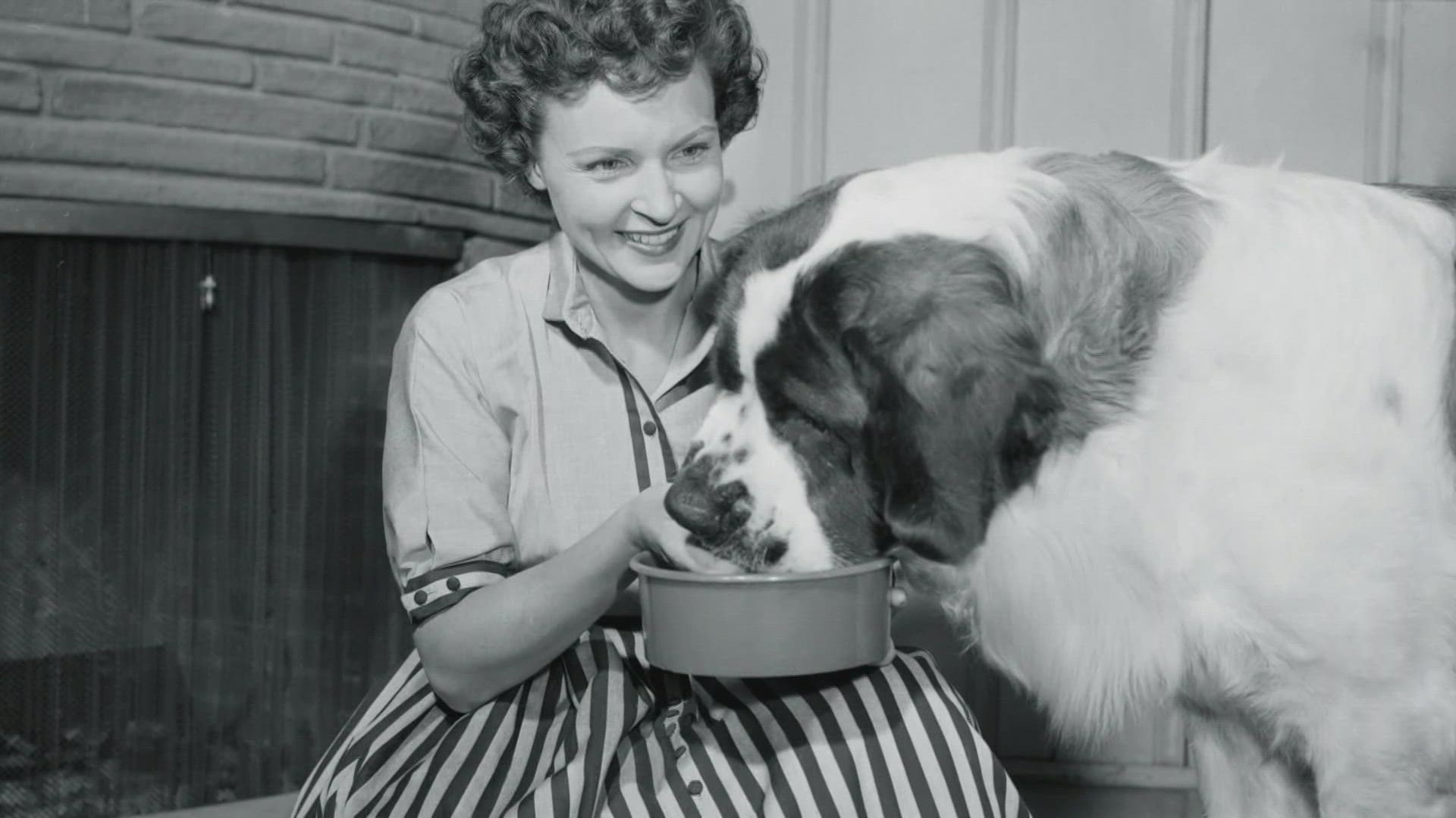 In honor of Betty White's 100th birthday animal shelters across the country are asking people to donate $5 in her name.