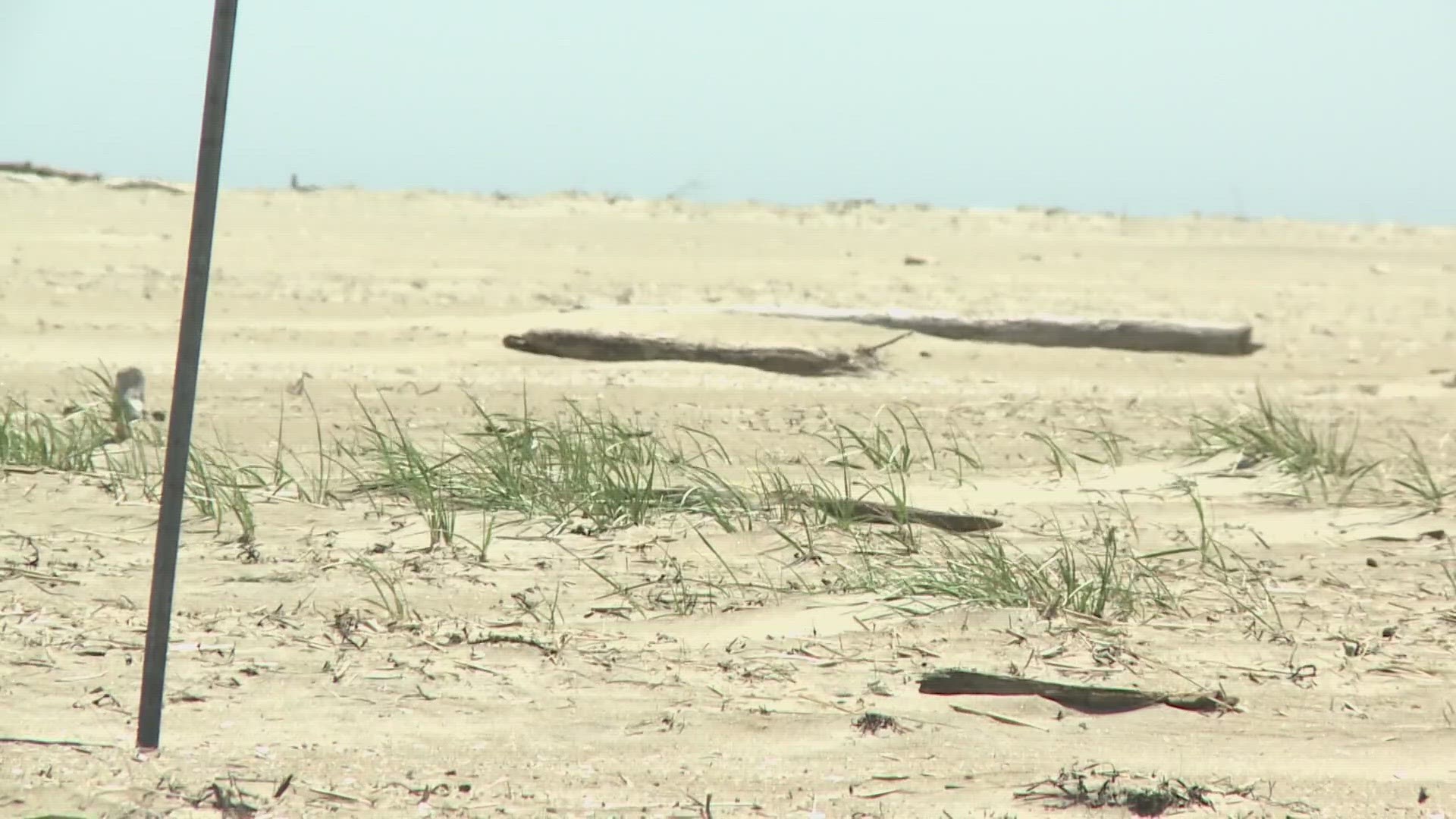 Richard Tappen is asking courts to ban his neighbors from accessing parts of the beach, because he argues it's part of his land.