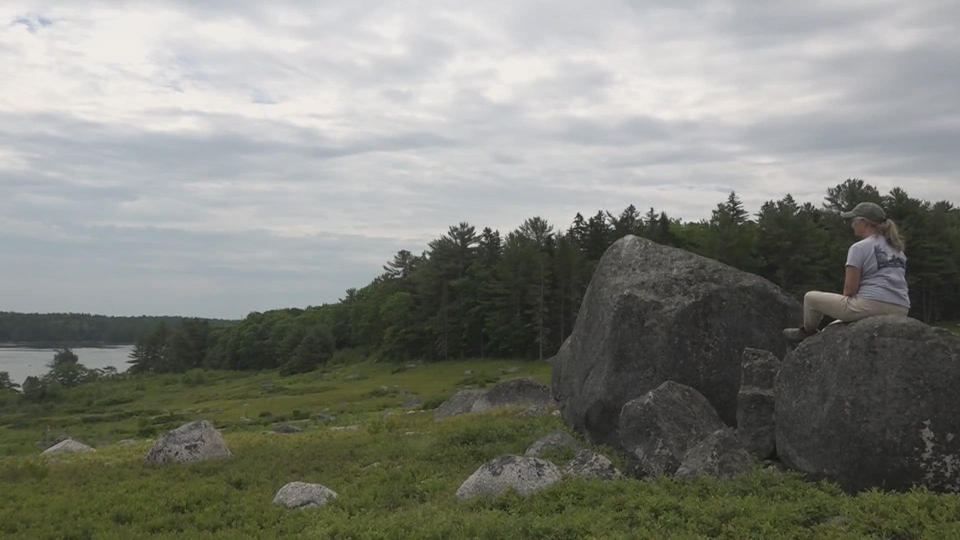 Blue Hill nonprofit and developer reach agreement over blueberry barrens land – newscentermaine.com