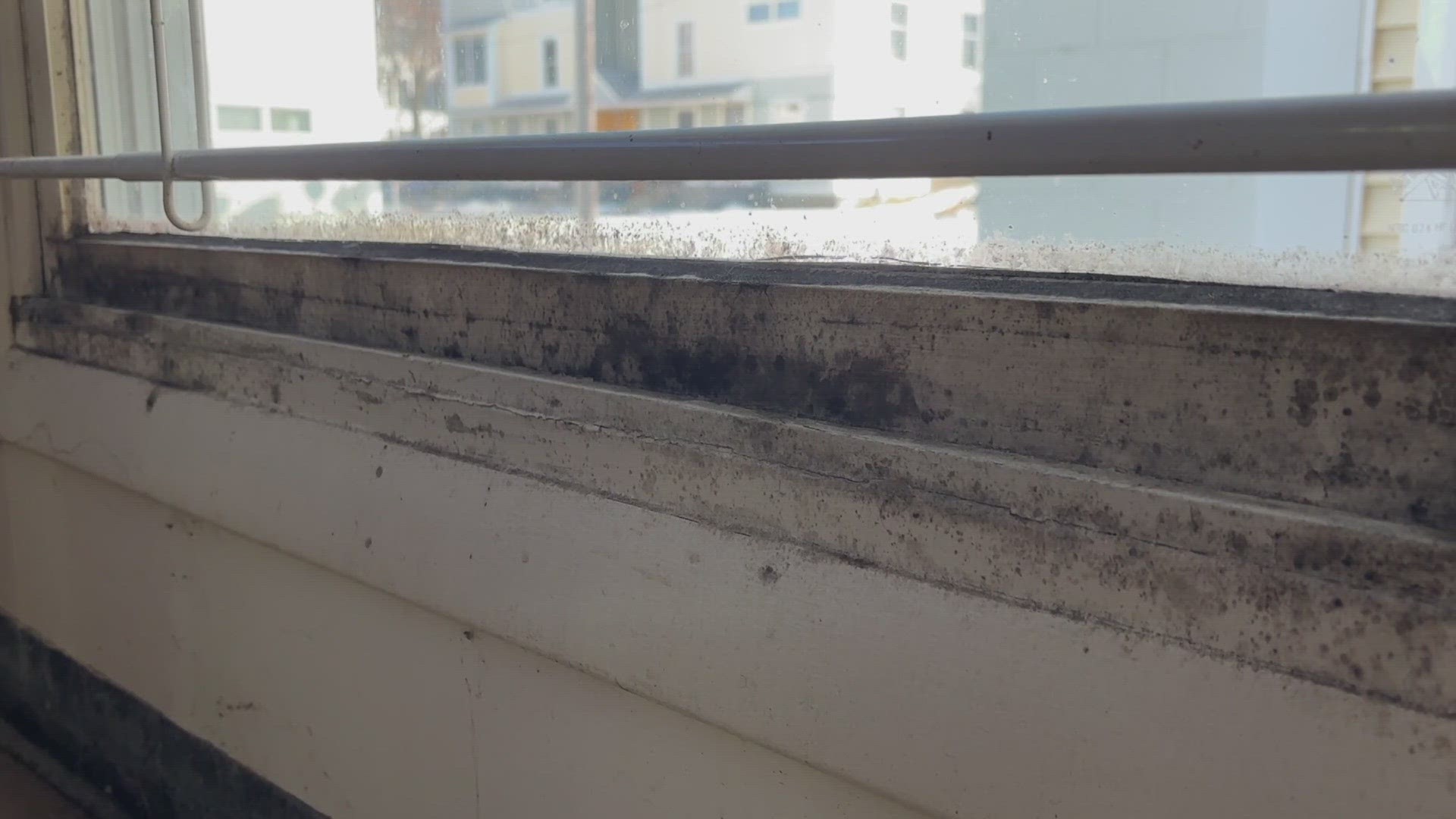 One of the property managers said he told his supervisors about the concerns about the black-colored mold detected in several apartments.