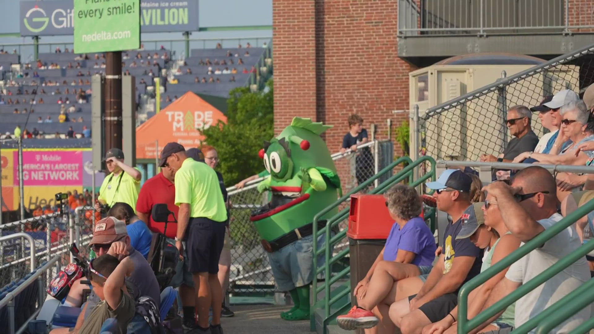 The secondary mascot to Slugger the Sea Dog first debuted during the club's inaugural season.