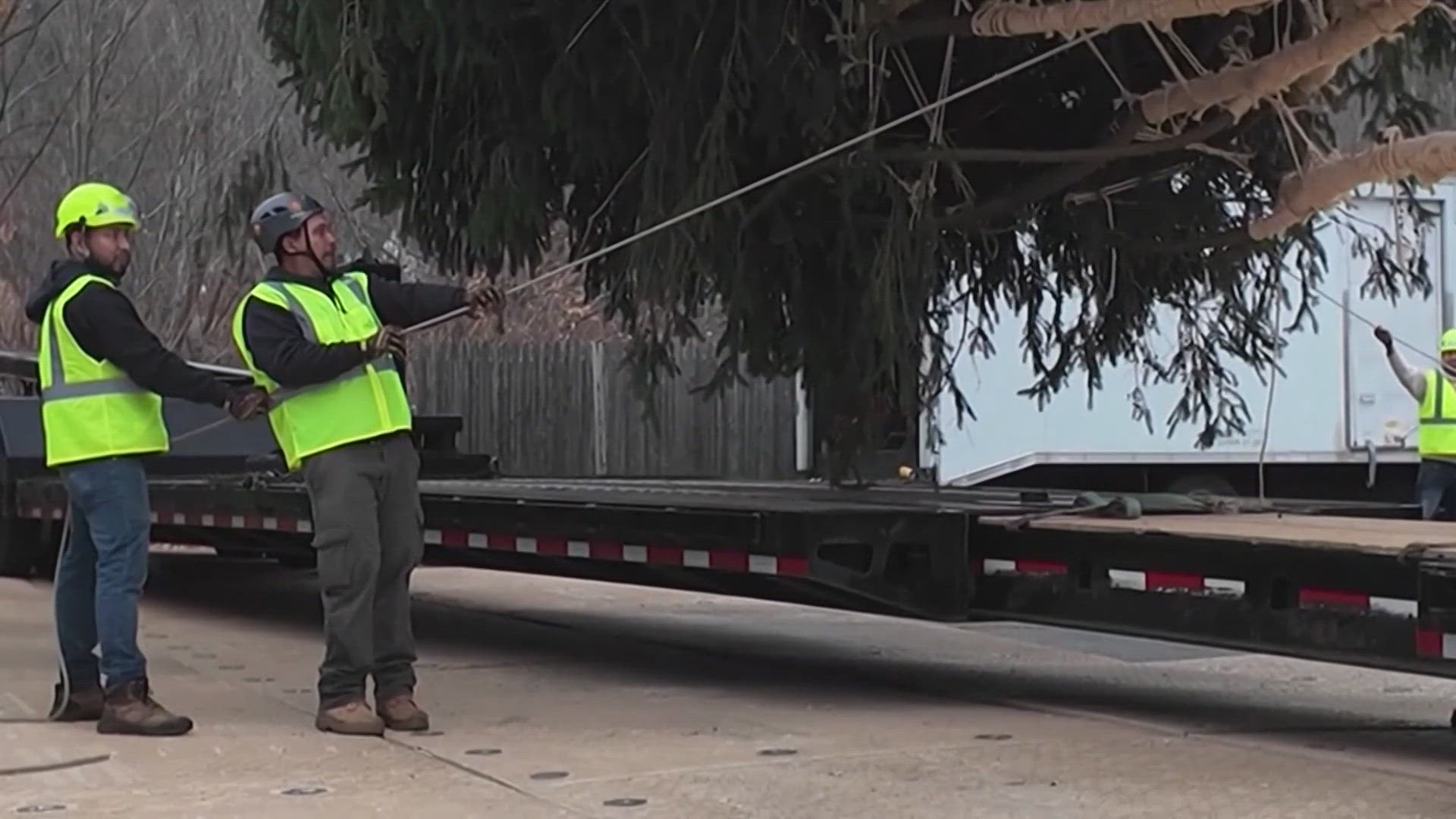 The man who donated this year's Rockefeller Center tree suffered a stroke, according to his family. 