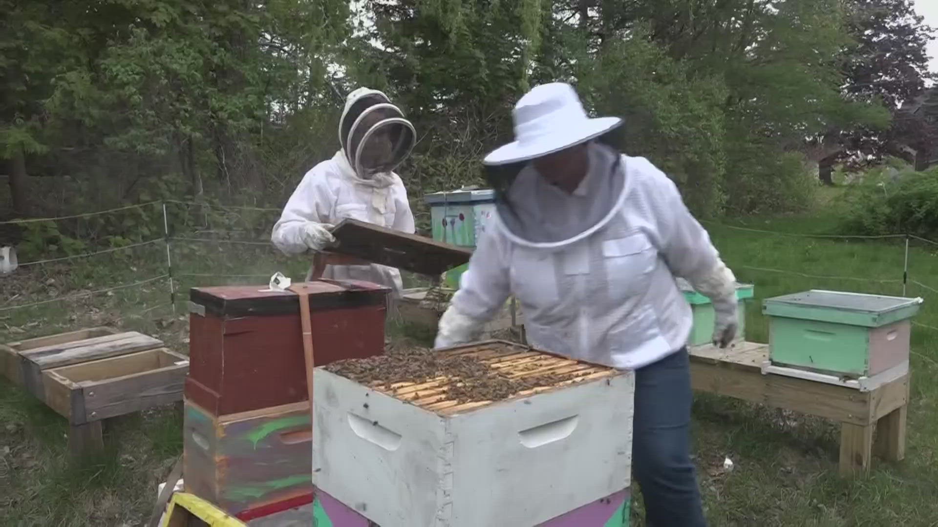 Eleven-year-old Elizabeth Downs, better known as "E," is putting in the work to change the mind of folks her age and address any hesitations about beekeeping.