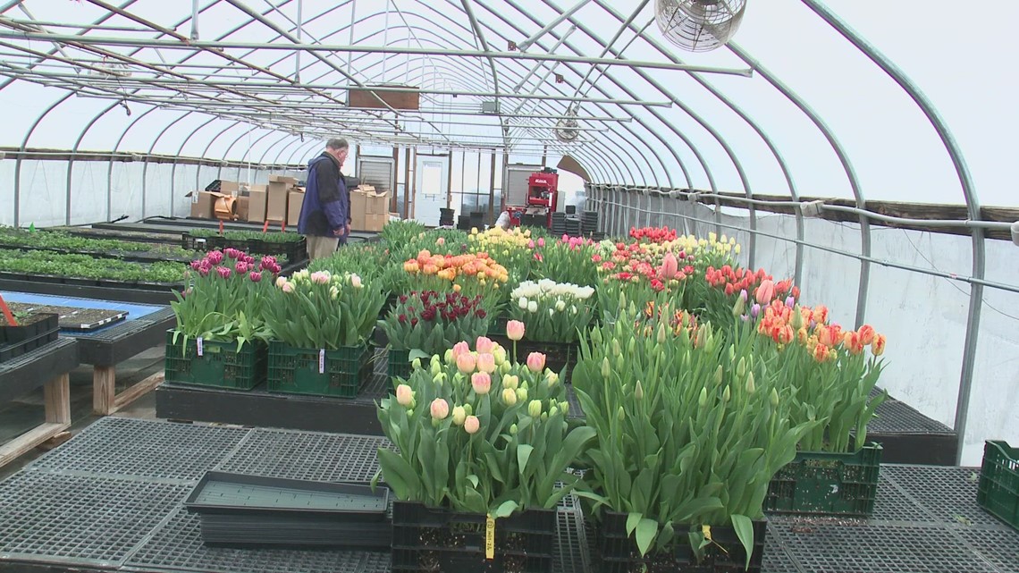 Johnny's Selected Seeds enters busy spring season - Vimarsana News