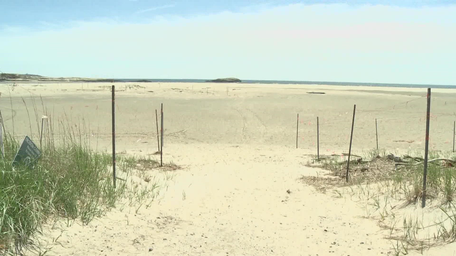 A Great White Shark sighting was reported at the beach at 6:15 p.m. Sunday, according to the Maine Department of Agriculture, Conservation, and Forestry.