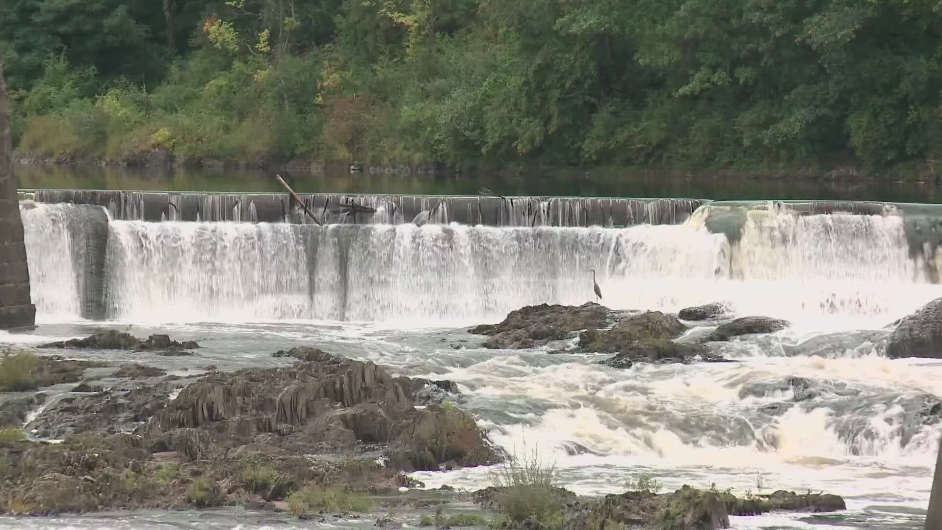 Environmental groups in Maine are criticizing a new federal report that says a group of dams on the Kennebec River are not putting fish populations at risk.