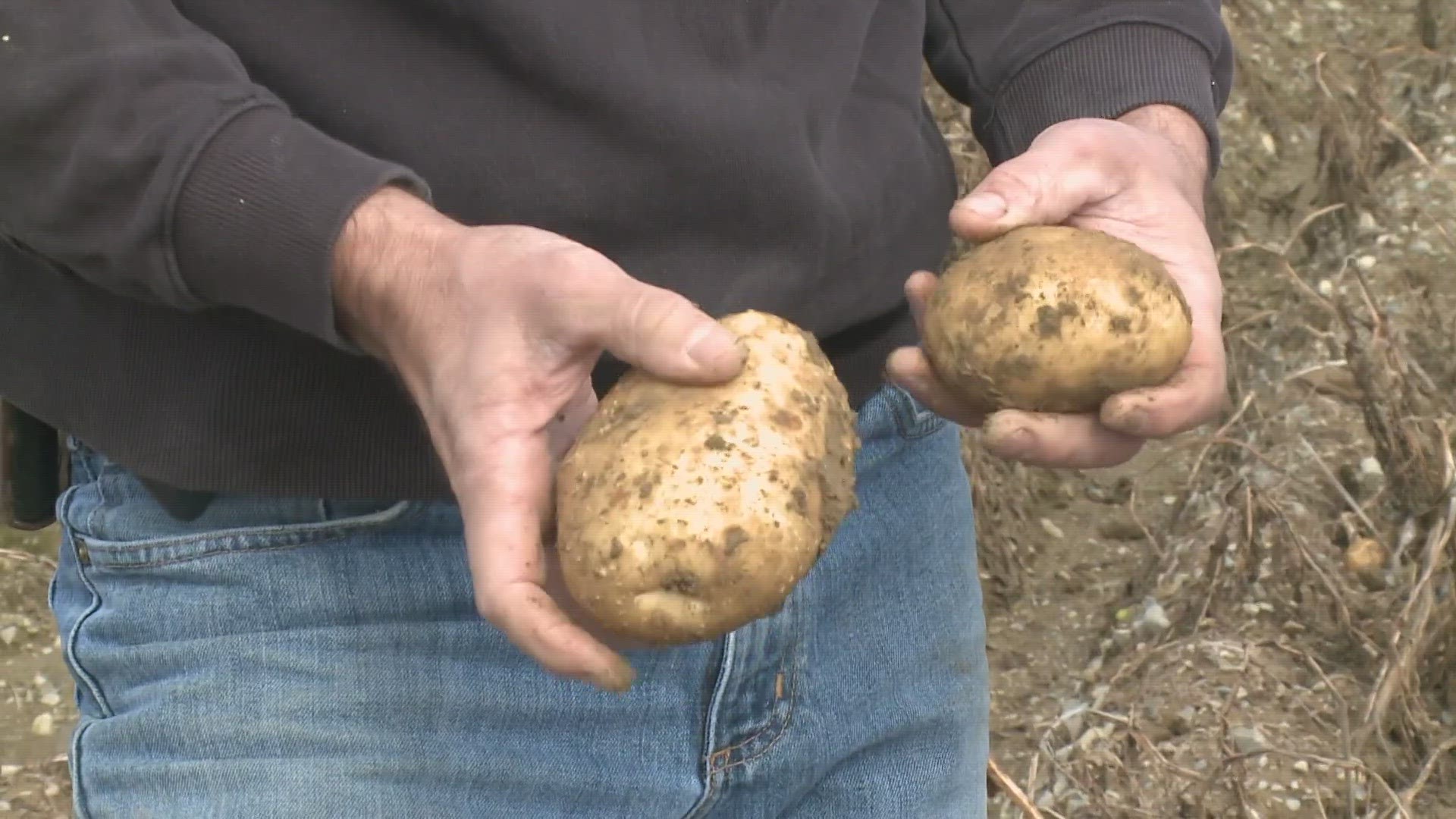 After a fire destroyed its Belfast plant, the company decided to focus efforts at its Washburn facility. Here's a closer look at Maine's No. 1 potato grower.
