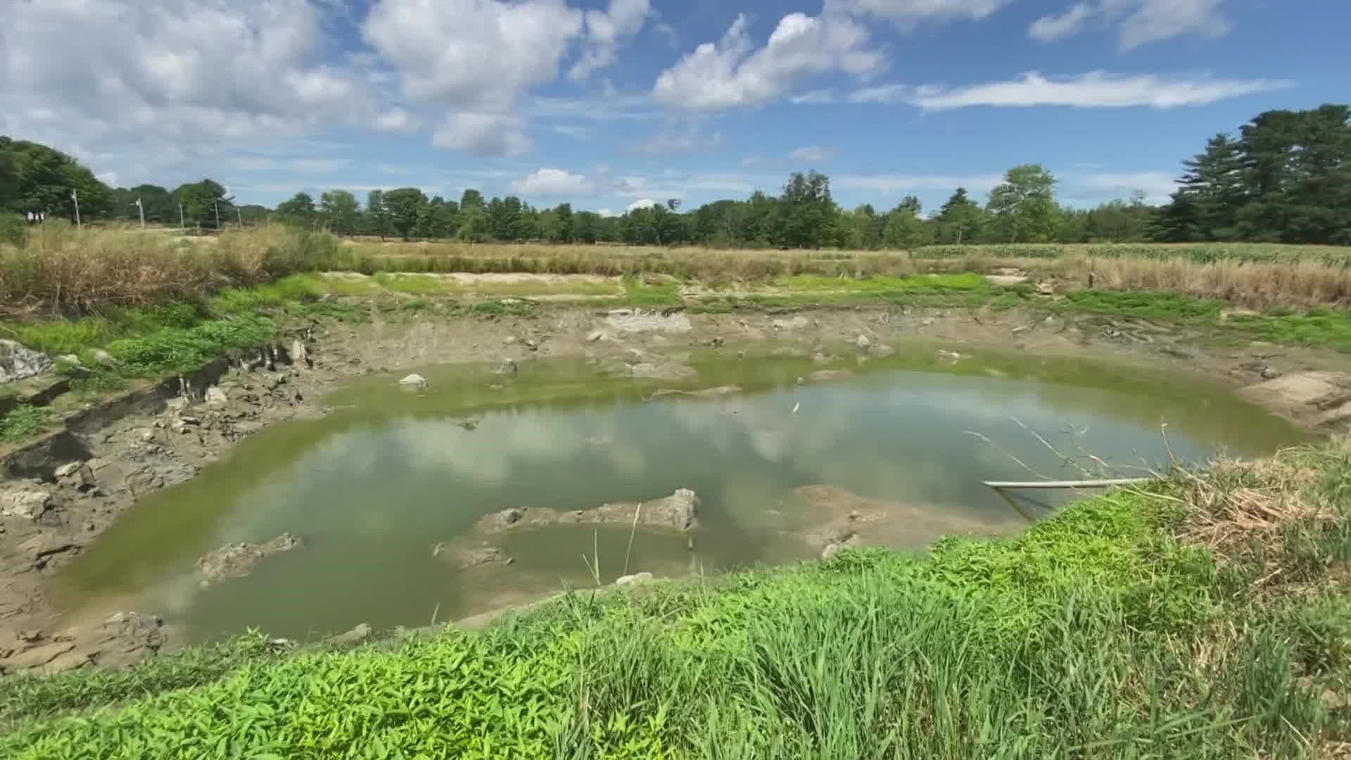 The water level for Leary Farm in Saco is so low that employees say they may have to pick and chose which crops get enough water.