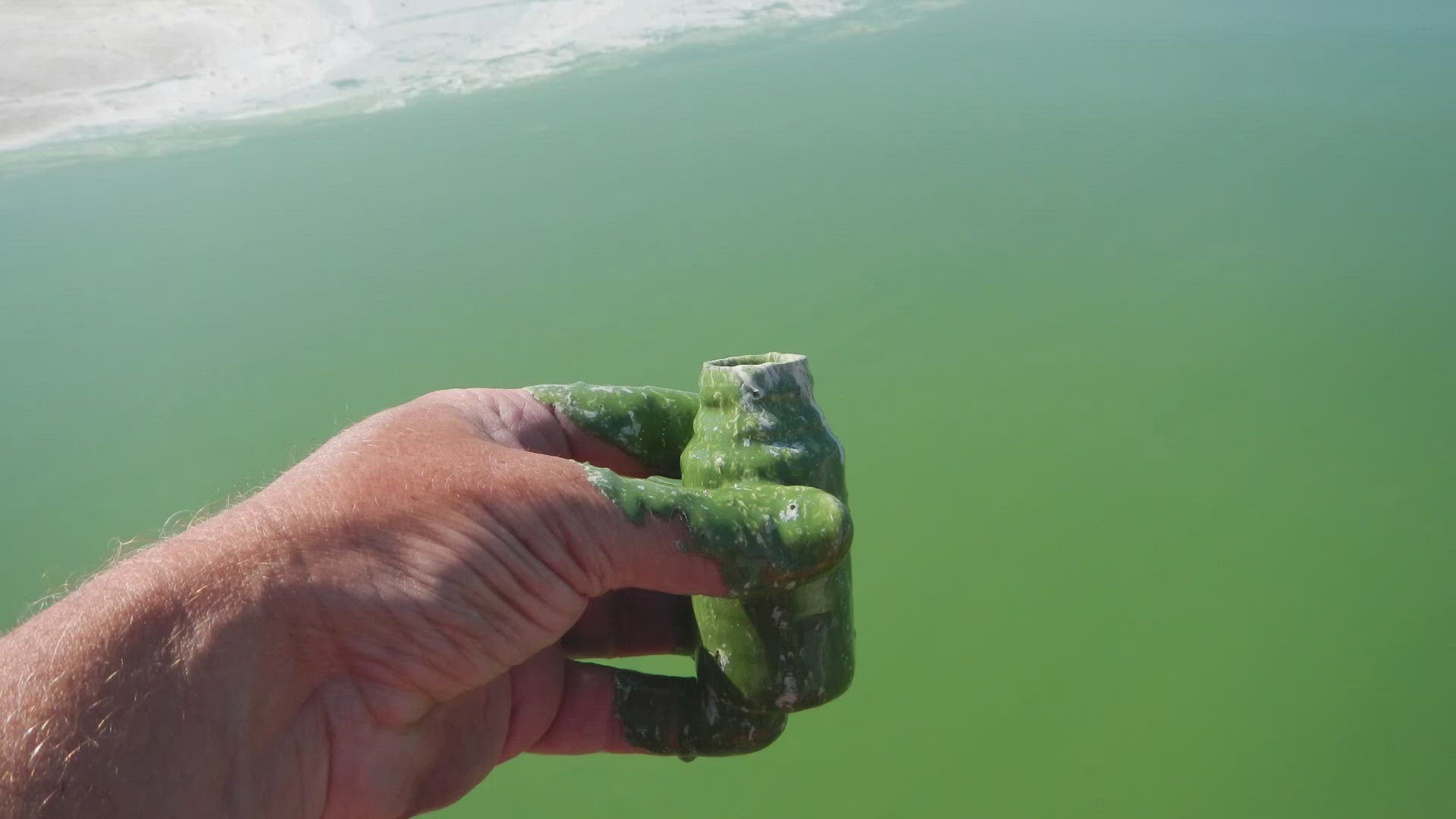 Algae blooms are showing up in more lakes and ponds. Climate change, which makes winters shorter and warmer, is largely to blame, one state biologist says.