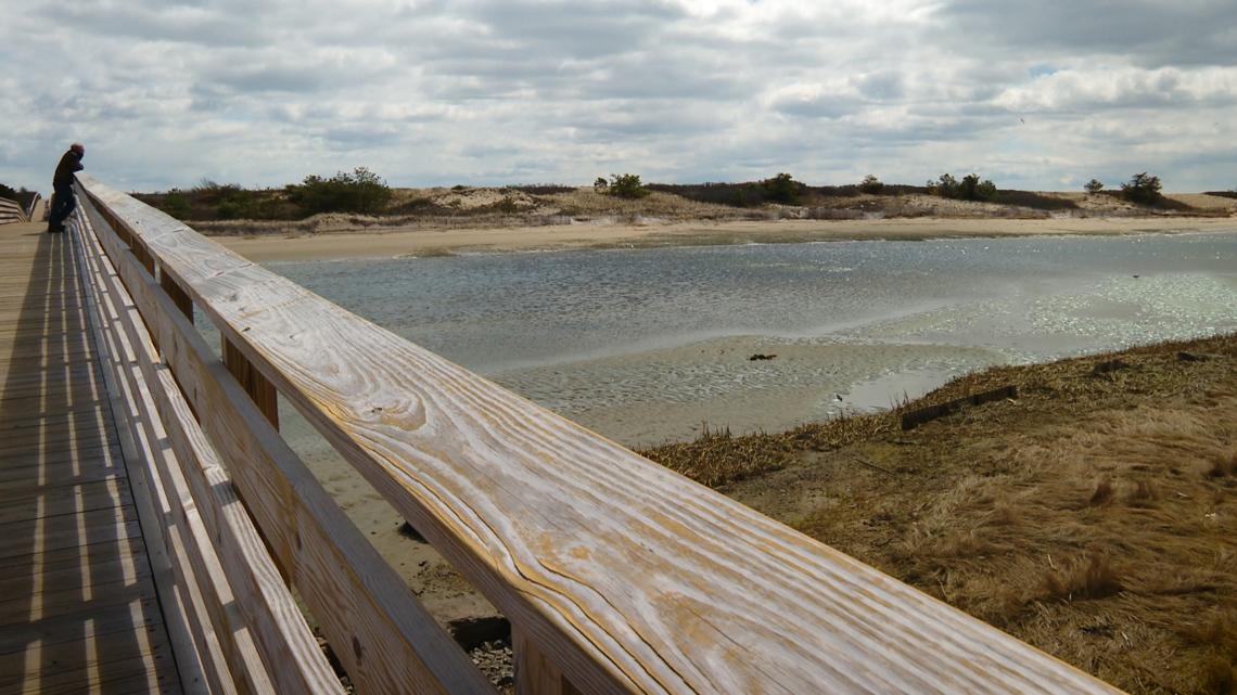 Lawsuit over Maine's intertidal zones on Maine's beaches - Vimarsana News