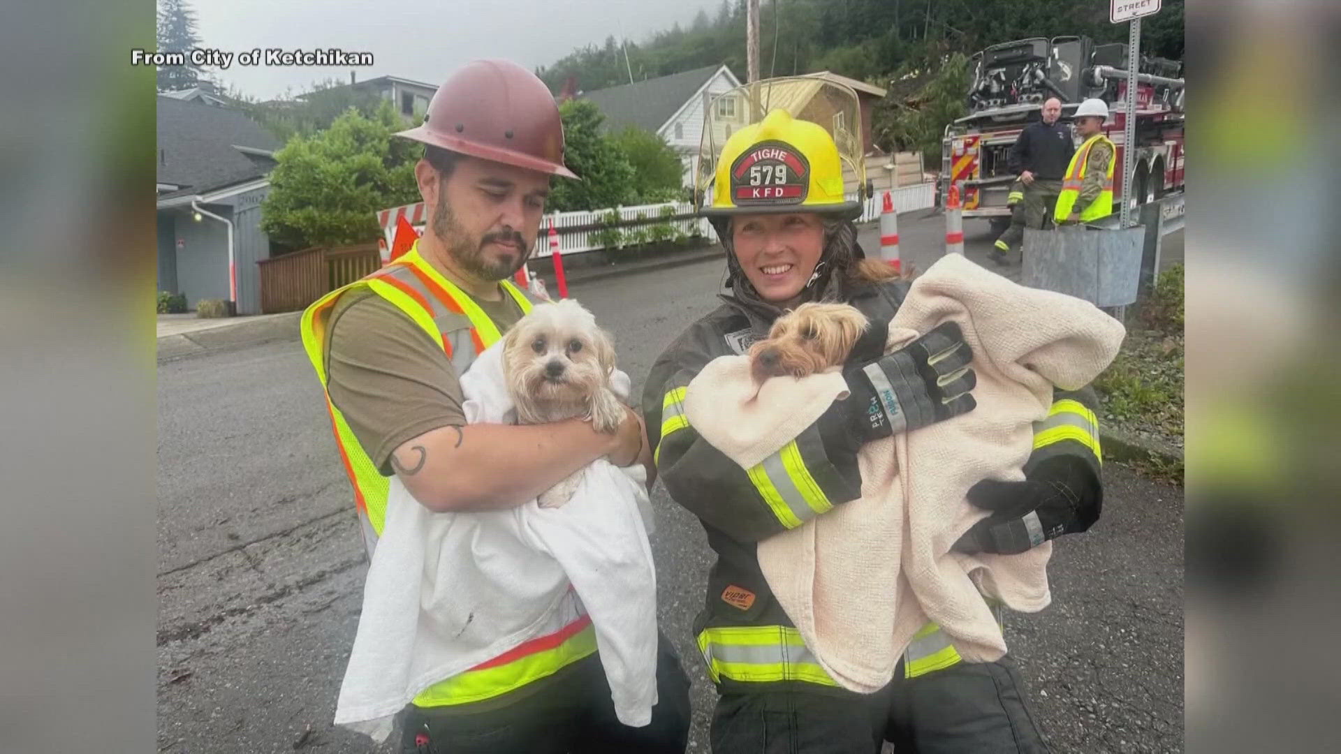 The owners thought they had lost the pups but a geologist, who was studying the landslide, heard them whimpering.