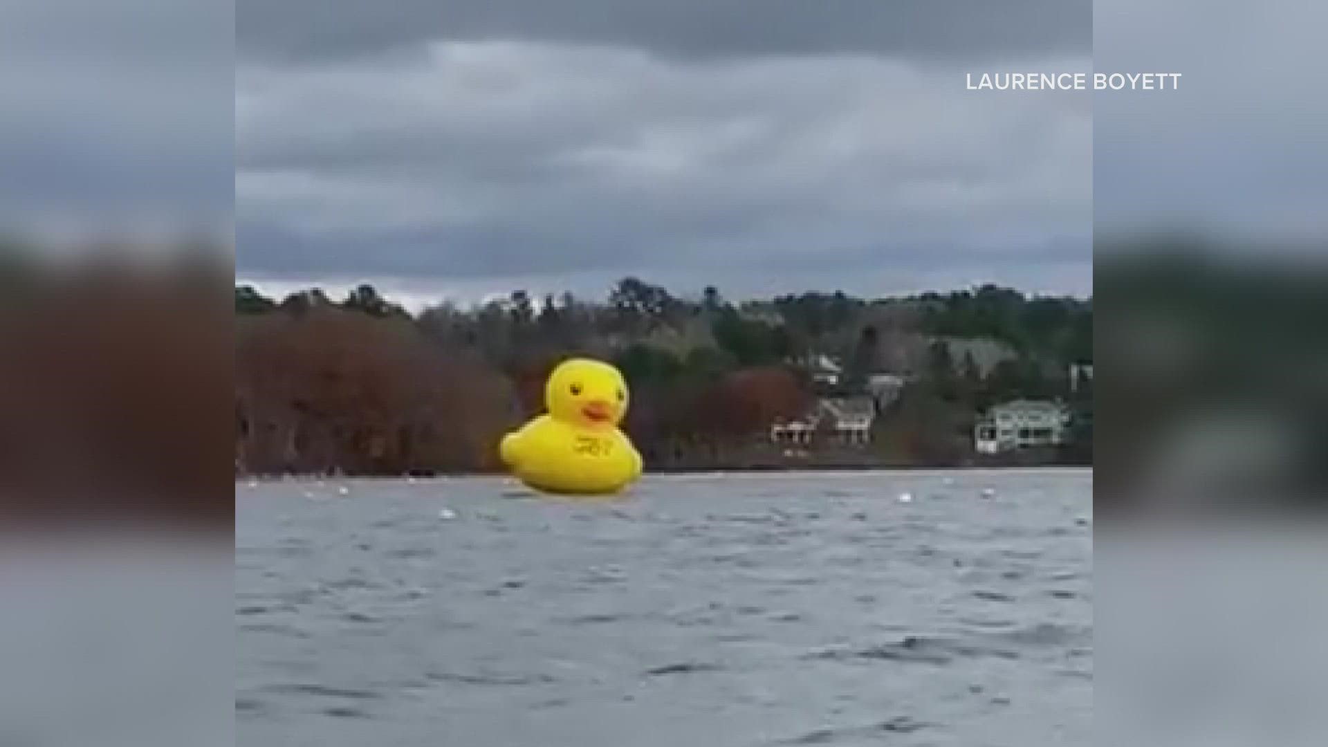 The giant duck broke free from its mooring and drifted away Thursday afternoon due to heavy winds.
