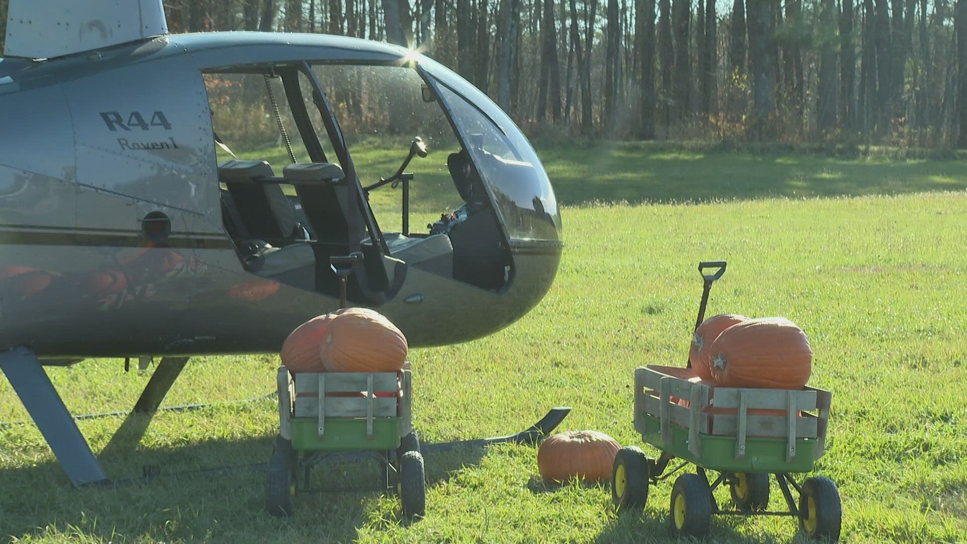 Pumpkins were thrown from a helicopter onto unused vehicles in Falmouth over the weekend, creating a bizarre but fun way for the community to end the holiday.