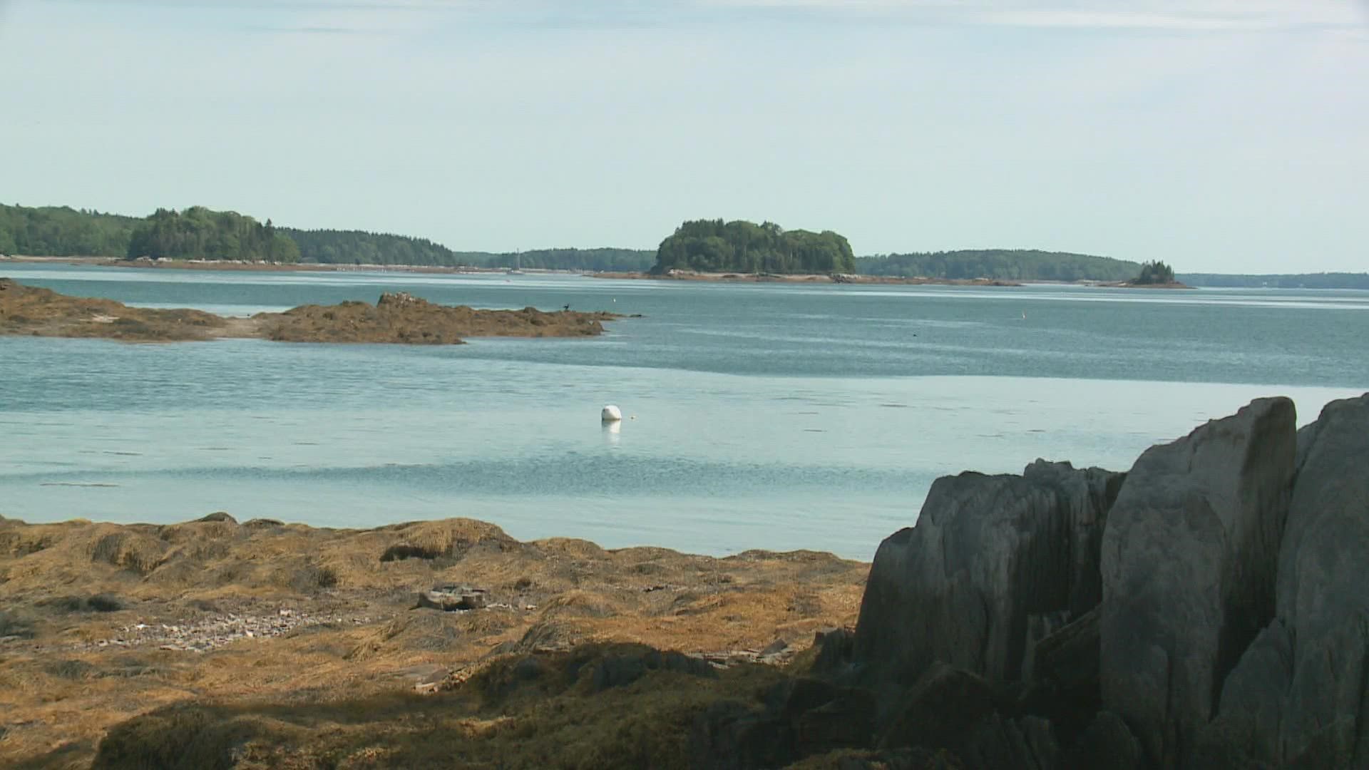 A couple miles off of Casco Bay, lies 22 acres of undeveloped, uninhabited, and beautiful land.
