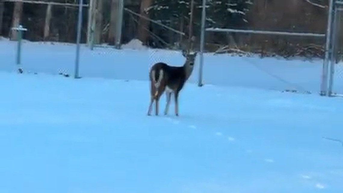 Where is everybody? | newscentermaine.com