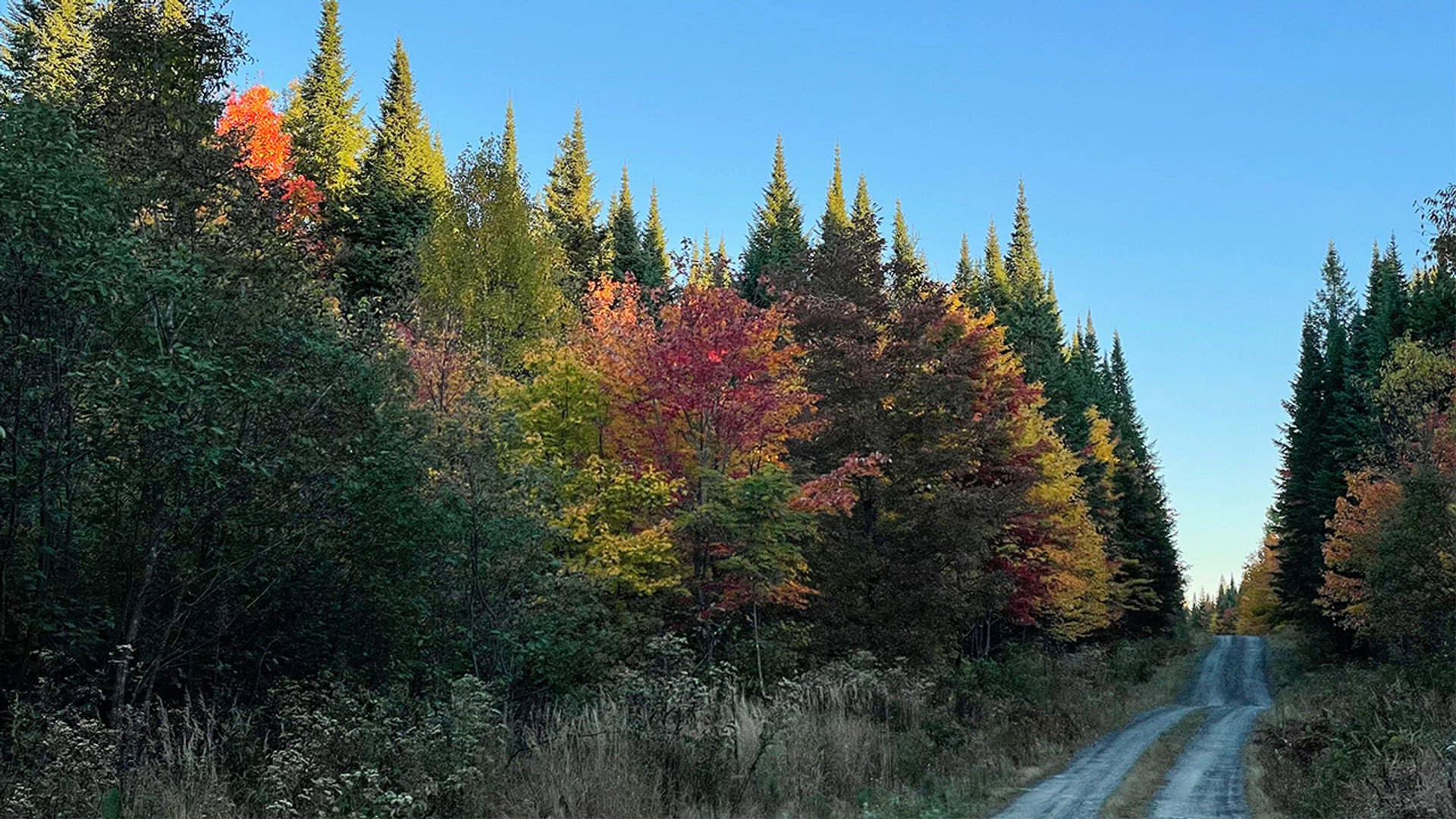 Expert breaks down top 10 hikes in Maine (Part 1) | newscentermaine.com