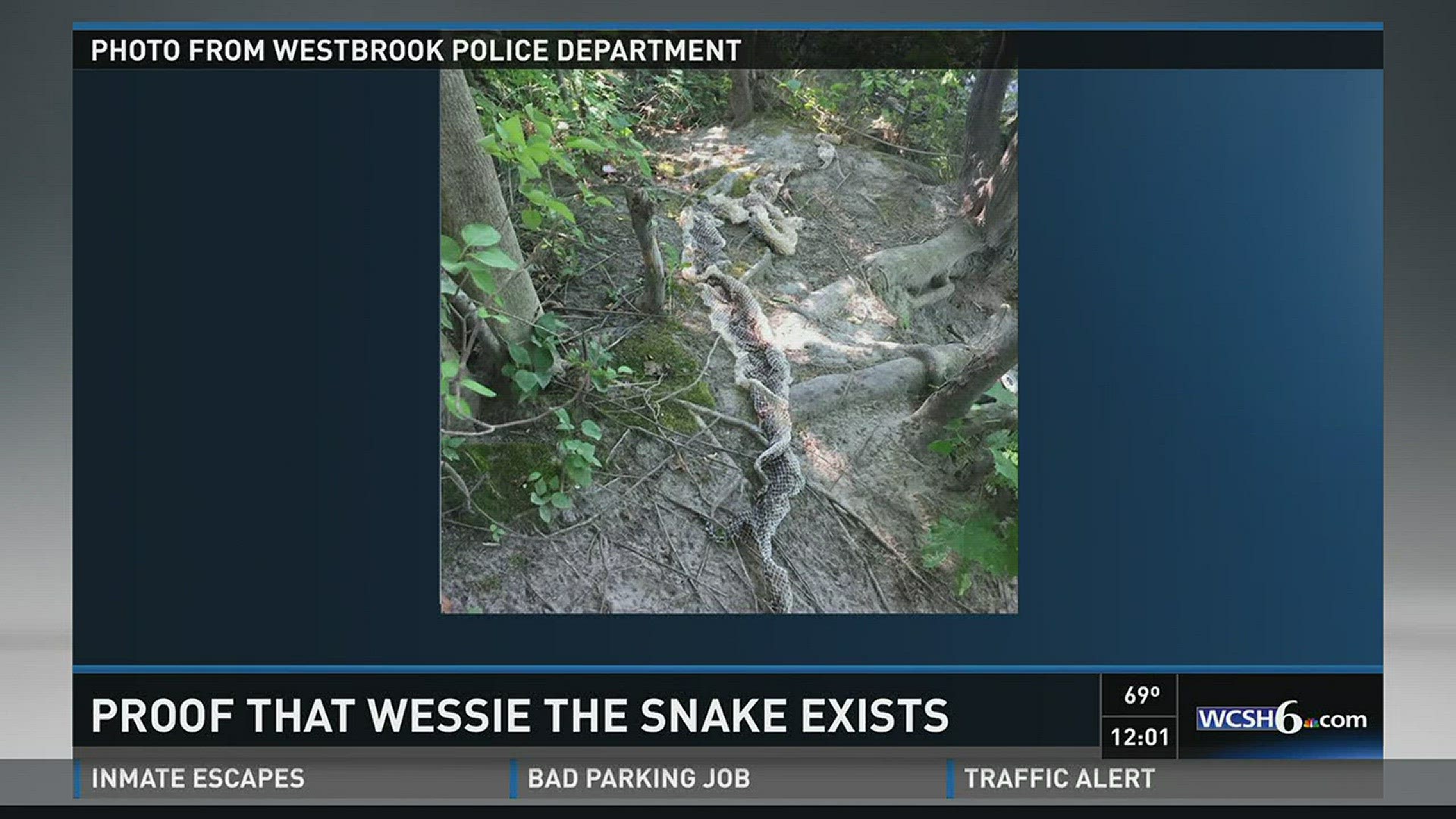 Proof that Wessie the snake exists
