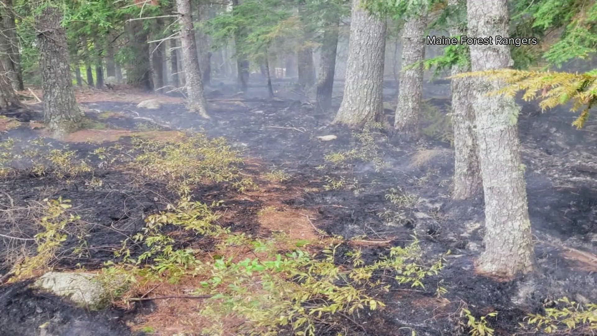 The fires were set along the shores of West Grand Lake in rural Washington County. Rangers are asking anyone with information to contact them.