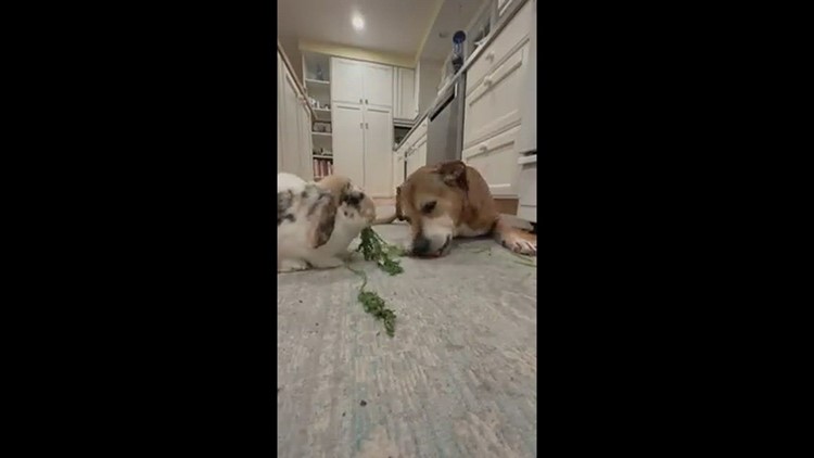 Snack time!