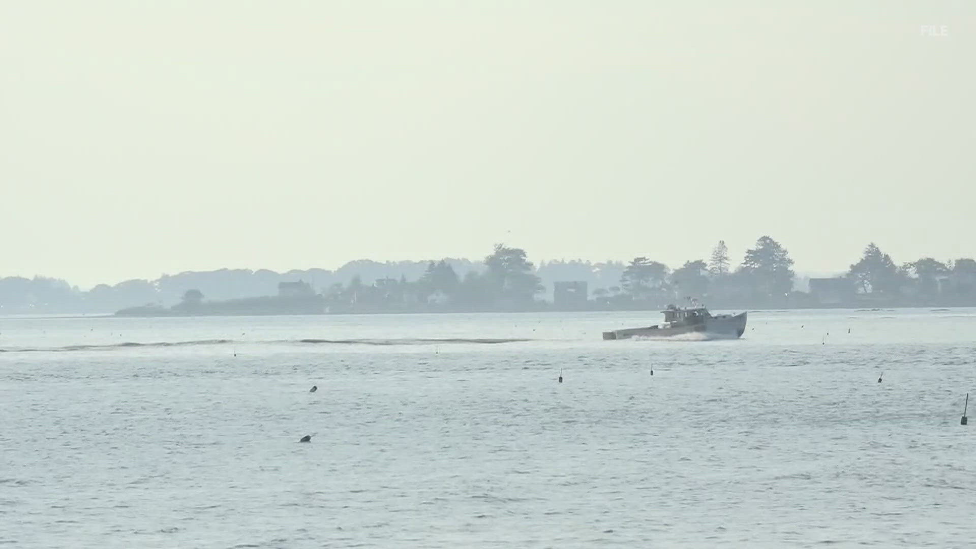 Scientists say the Gulf of Maine is now warming faster than almost anywhere else in the world. What does that mean for the state's billion-dollar fishing industry?