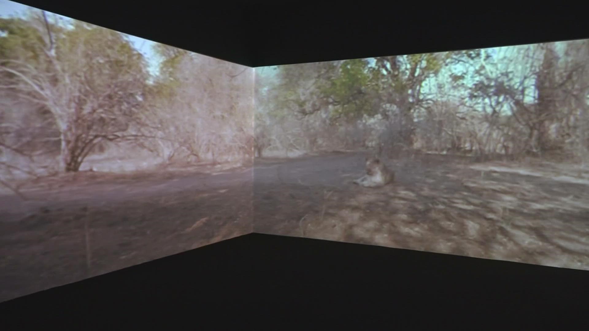 The virtual reality classroom can bring students inside a simulation of a human body or straight into a desert safari.