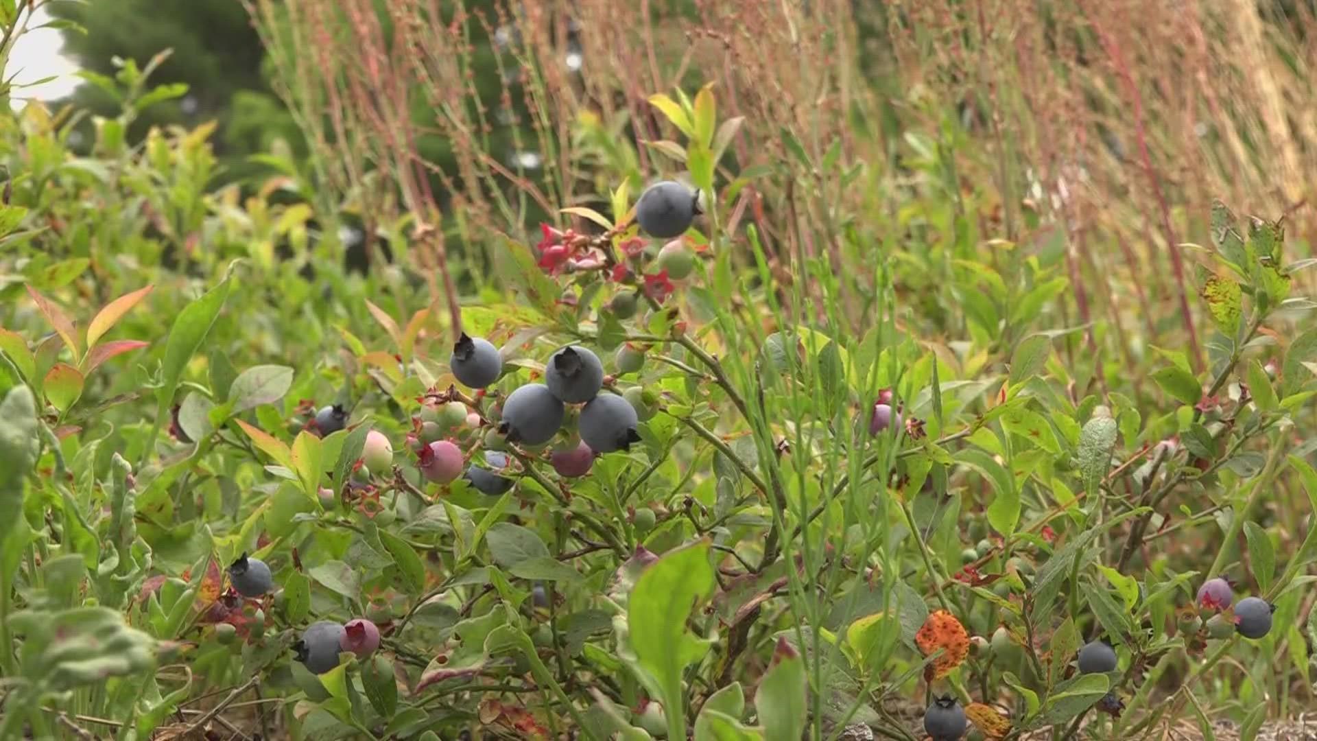 Farmers from across the state meet annually to share best agricultural practices.