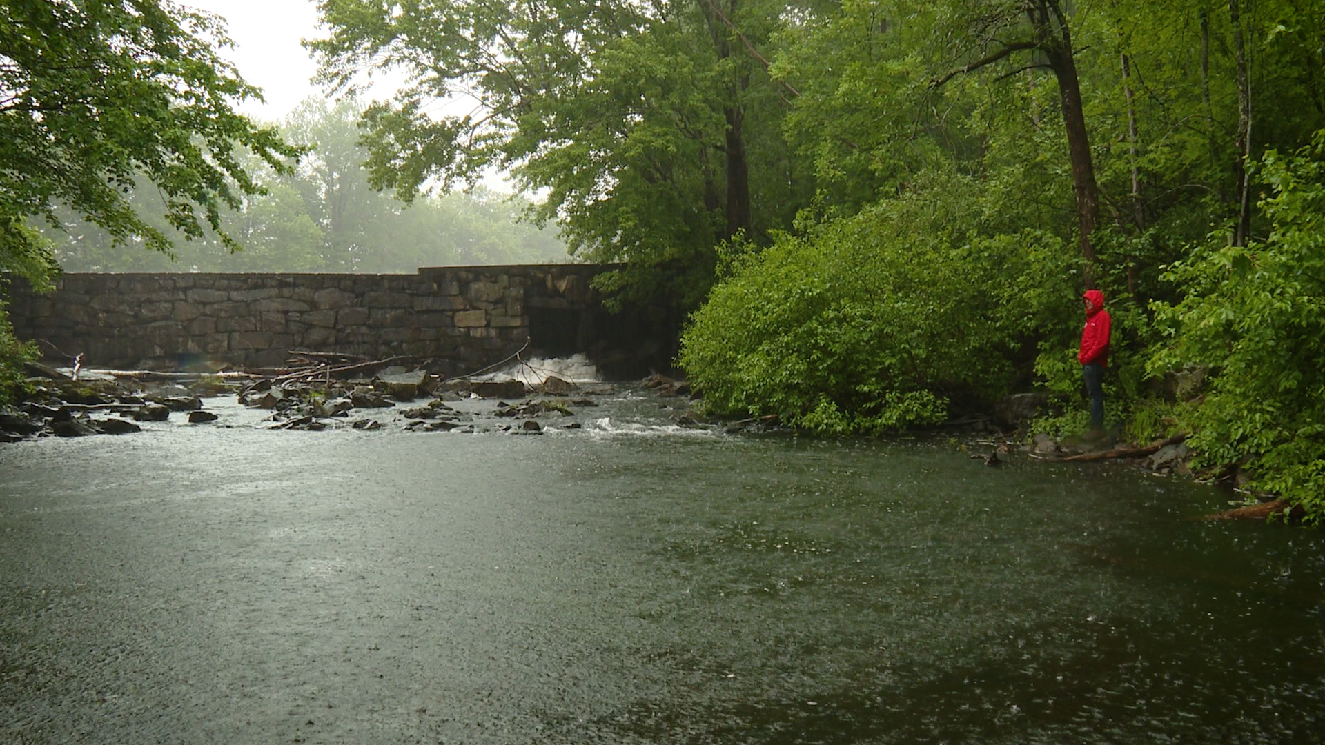 If you like pina coladas and dams in the rain... then you'll love this Breath of Fresh... Rain.