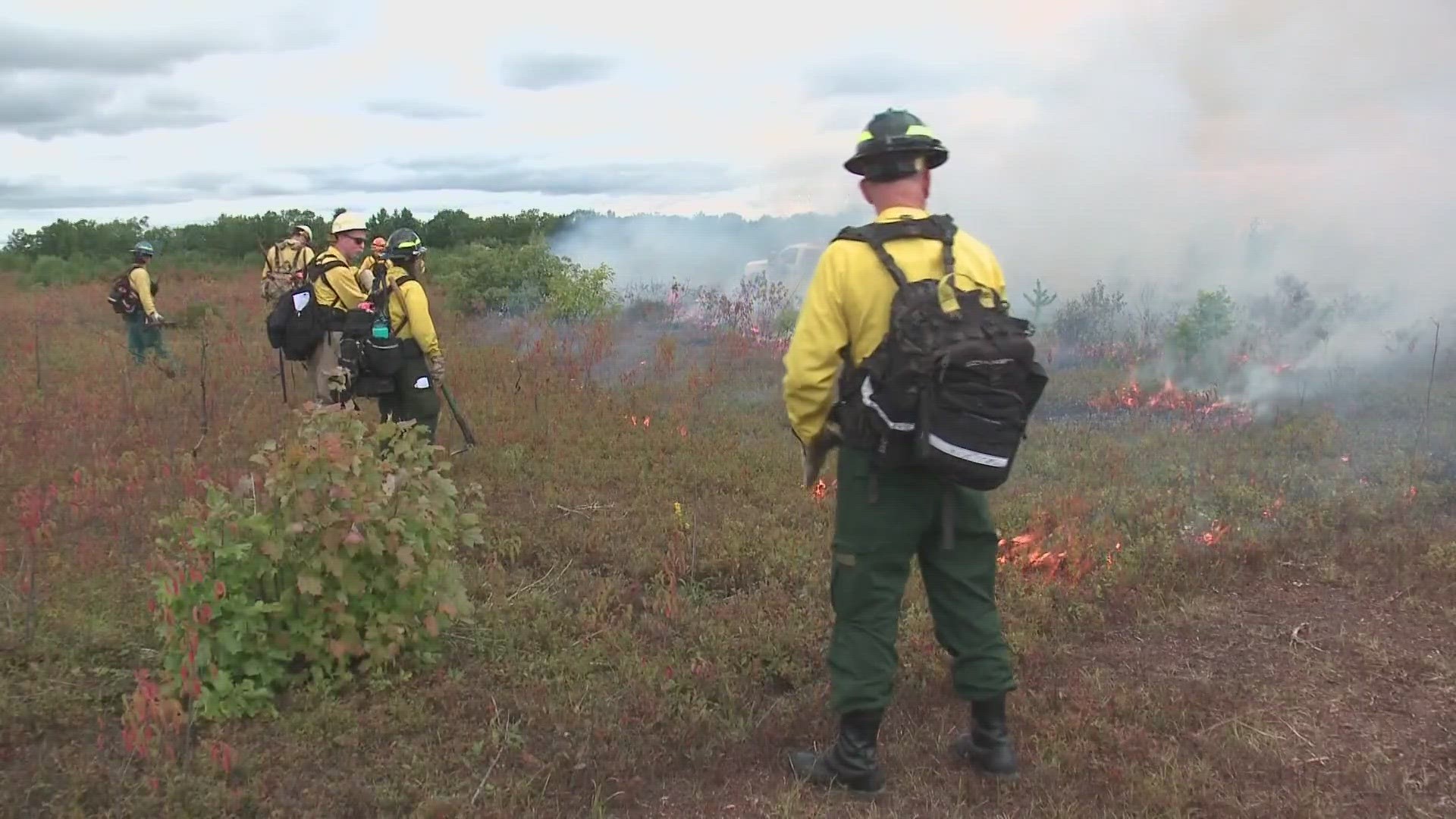 The state wants you to know the most common causes of wildfires and what you can do to prevent them.