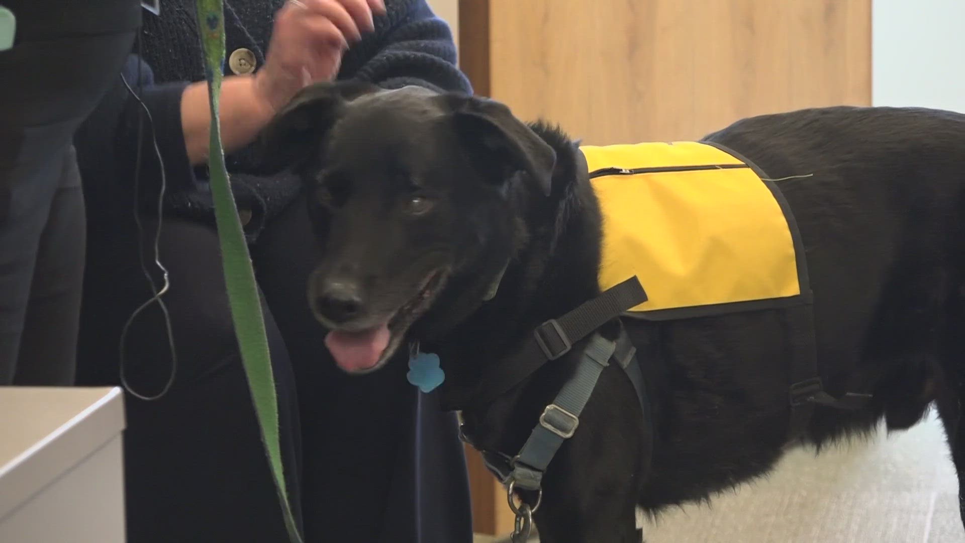 "What can we do? What would make you feel a little bit better? And unanimously they all asked if they could have a pet therapy visit," Stacey Coventry said.