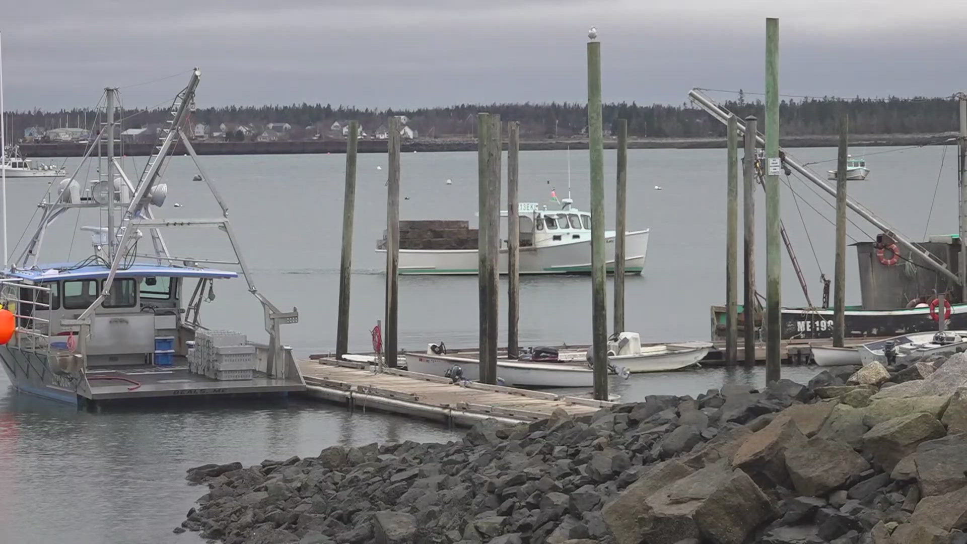 Cooke Aquaculture operates 13 salmon pen sites from Frenchboro to Eastport, but the Conservation Law Foundation says every one of them is in violation.