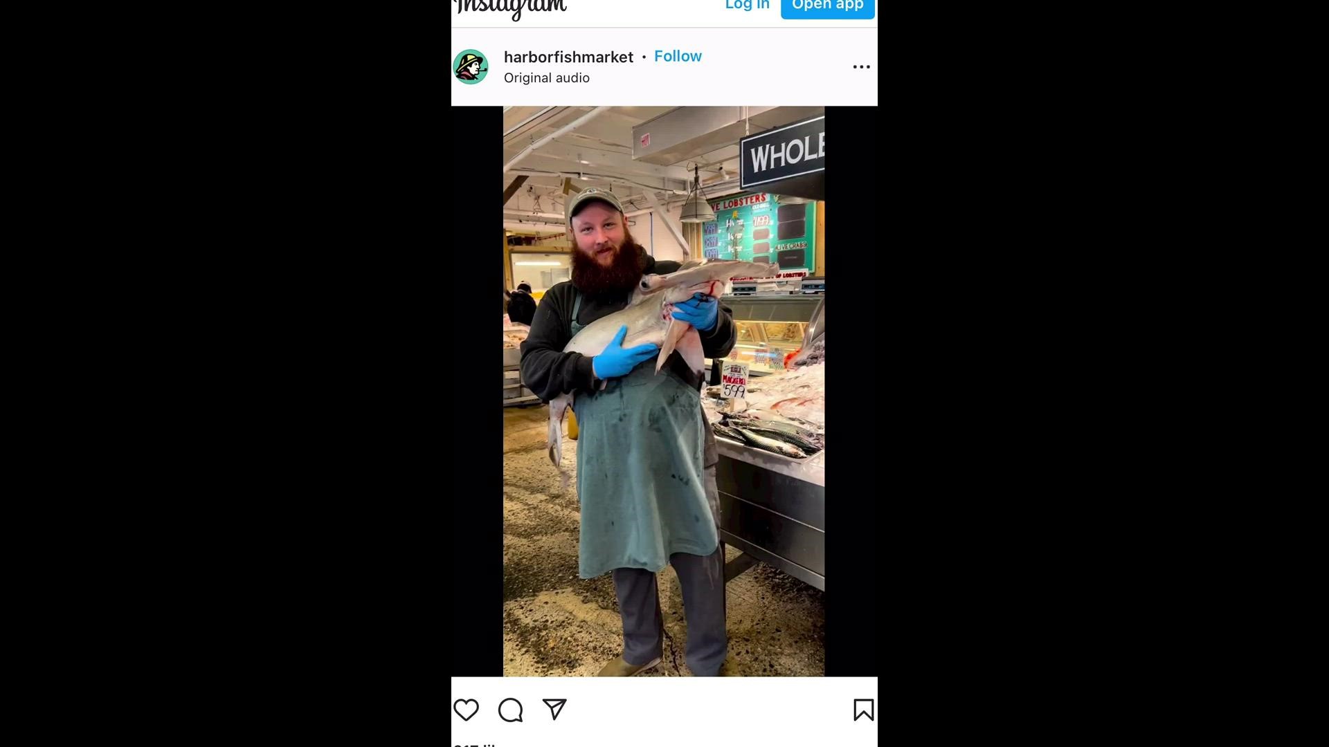 The video was posted this week on the Instagram account for Harbor Fish Market.
