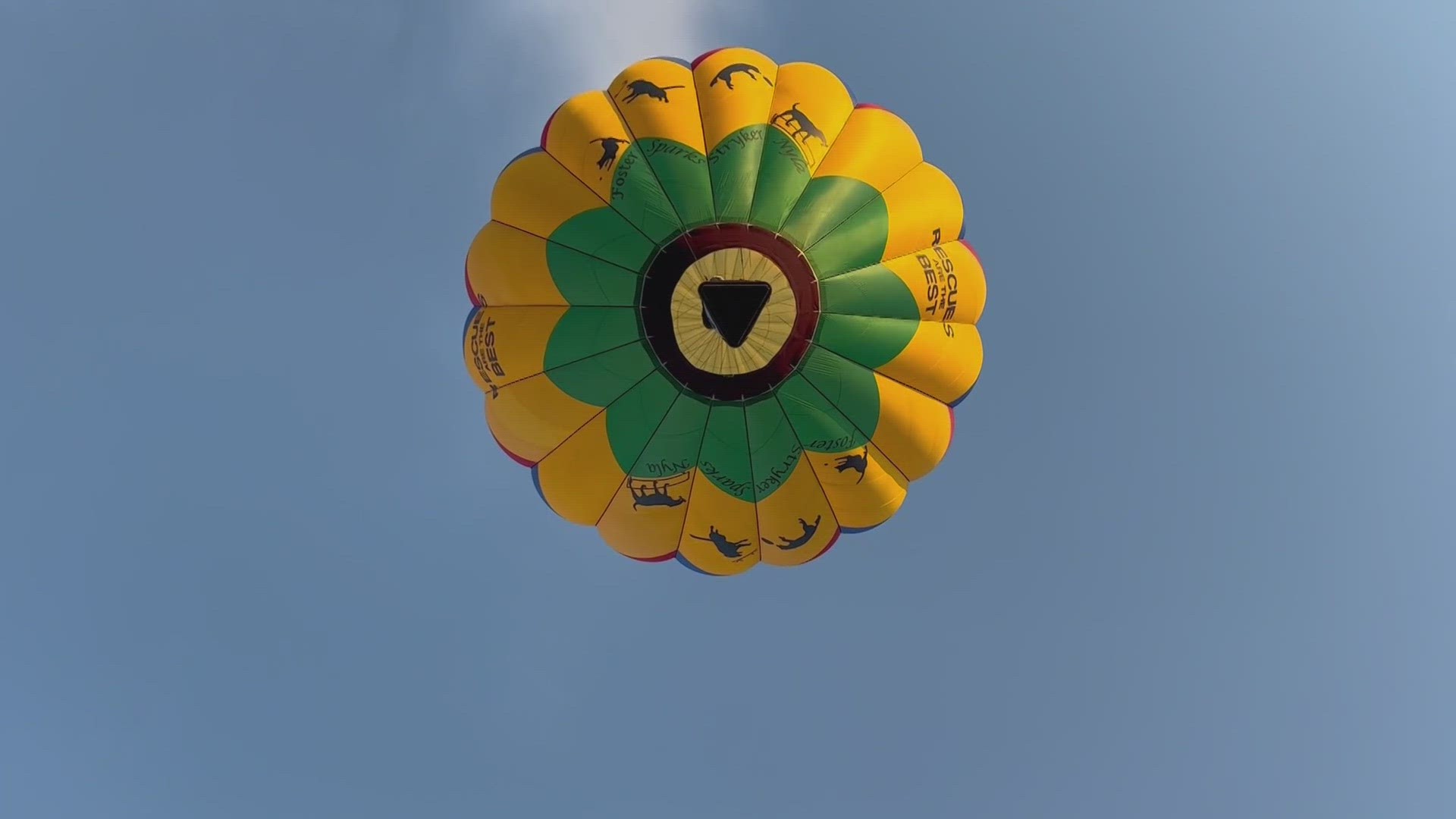 The 29th annual festival drew people of all ages to watch more than a dozen balloons take flight Sunday morning.