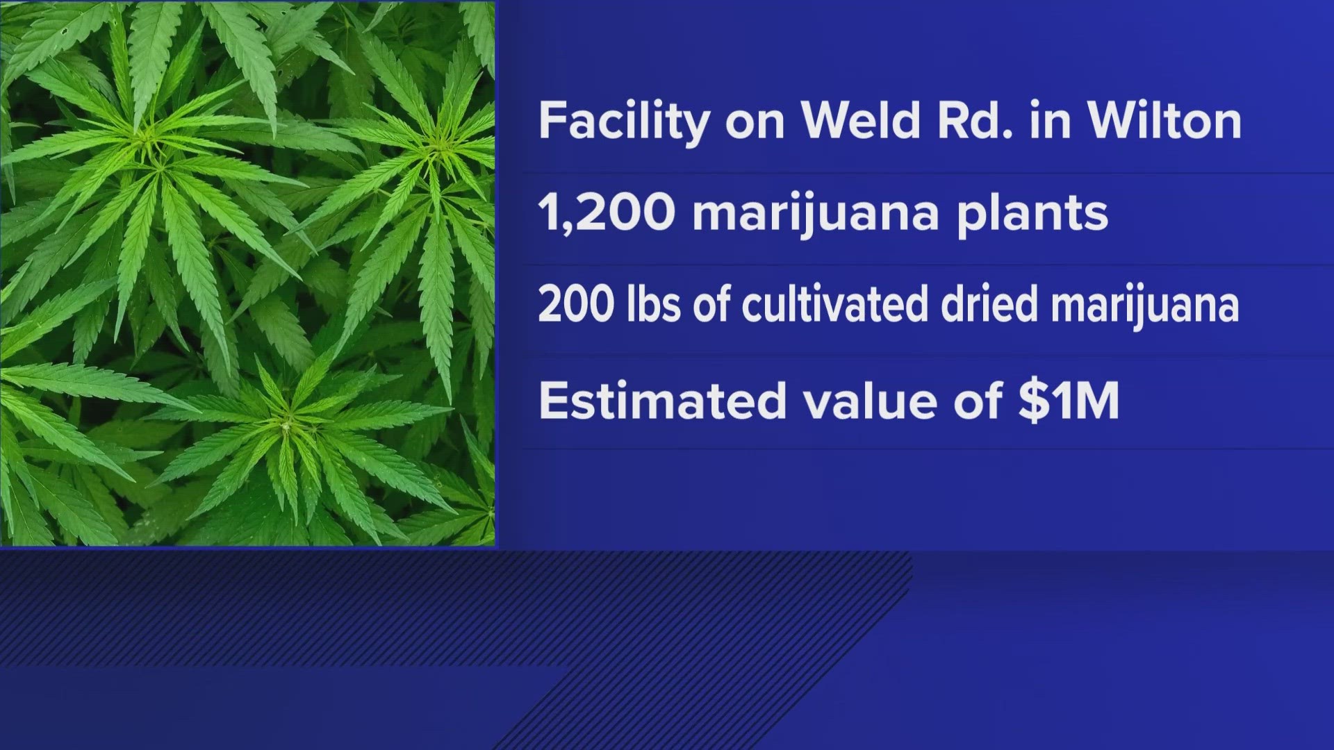 The total value of the illegally cultivated marijuana found Tuesday is estimated at $1,000,000, police said.