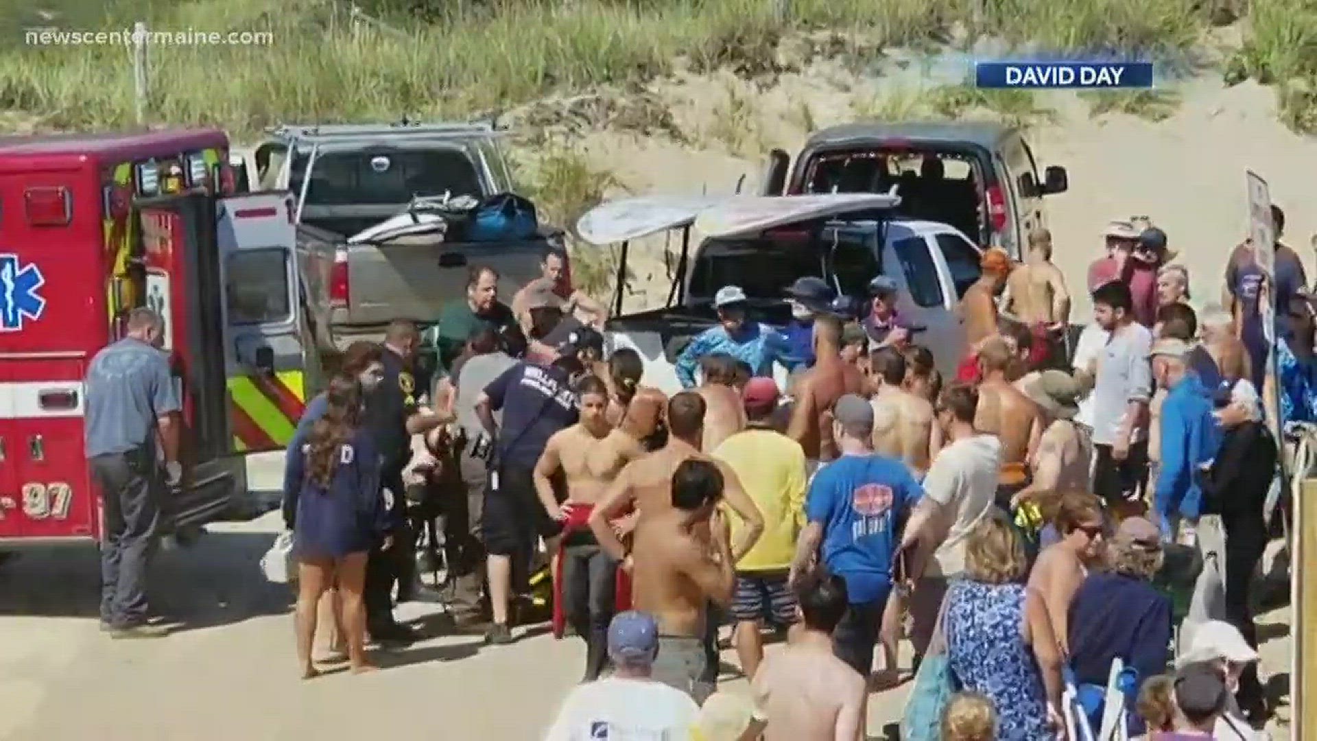 One man died Saturday after being attacked by a shark off a Cape Cod beach