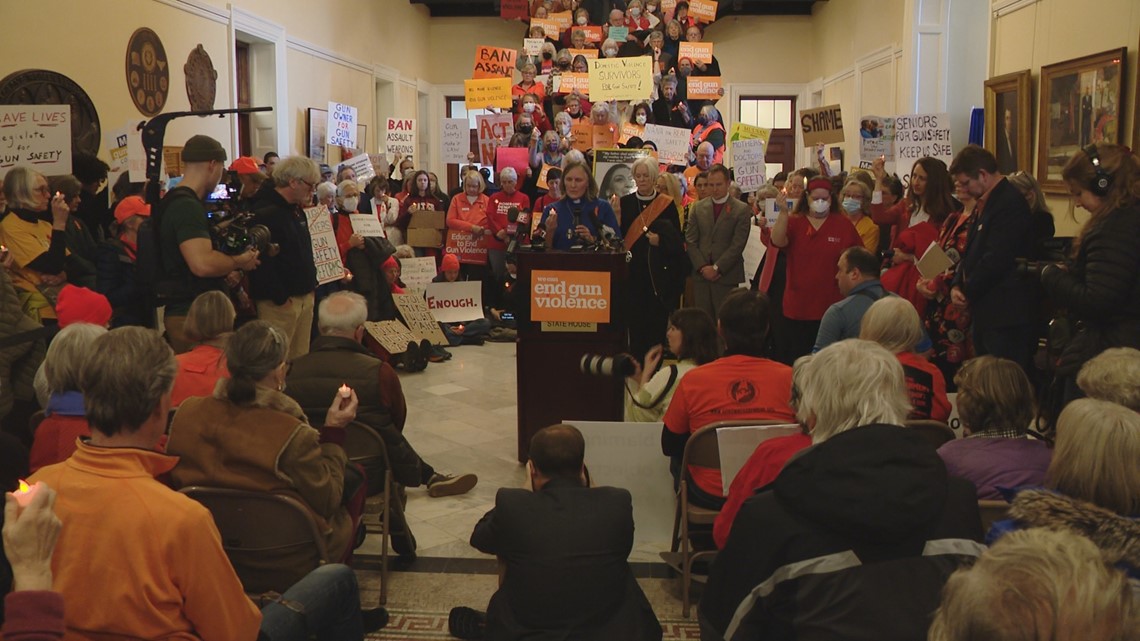 Hundreds rally at Maine State House for stronger gun laws ...