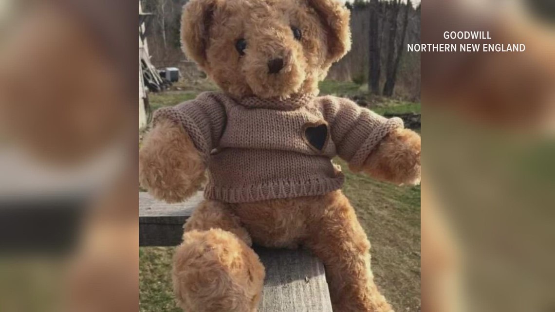 Community searching for missing teddy bear