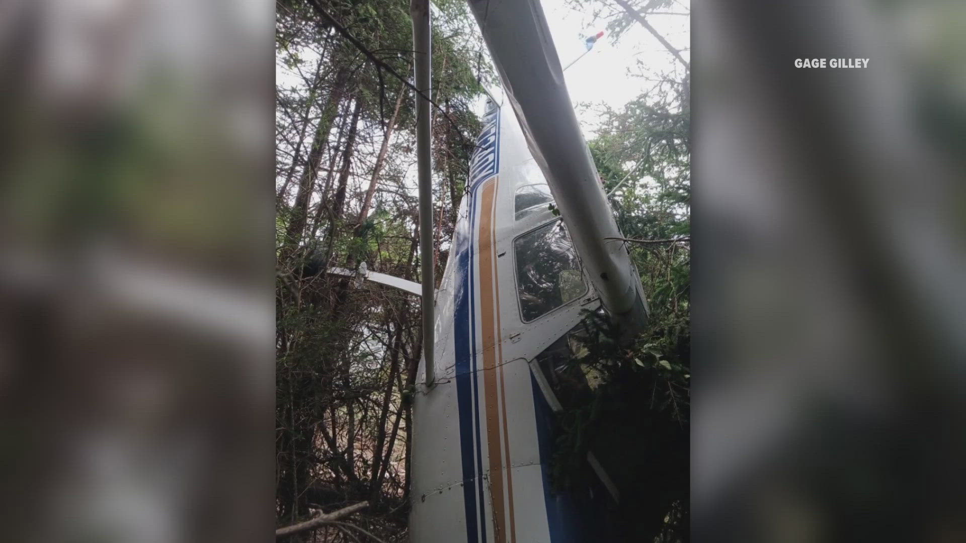 A single-engine Cessna 150 airplane crashed into trees on Swan's Island on Tuesday.
