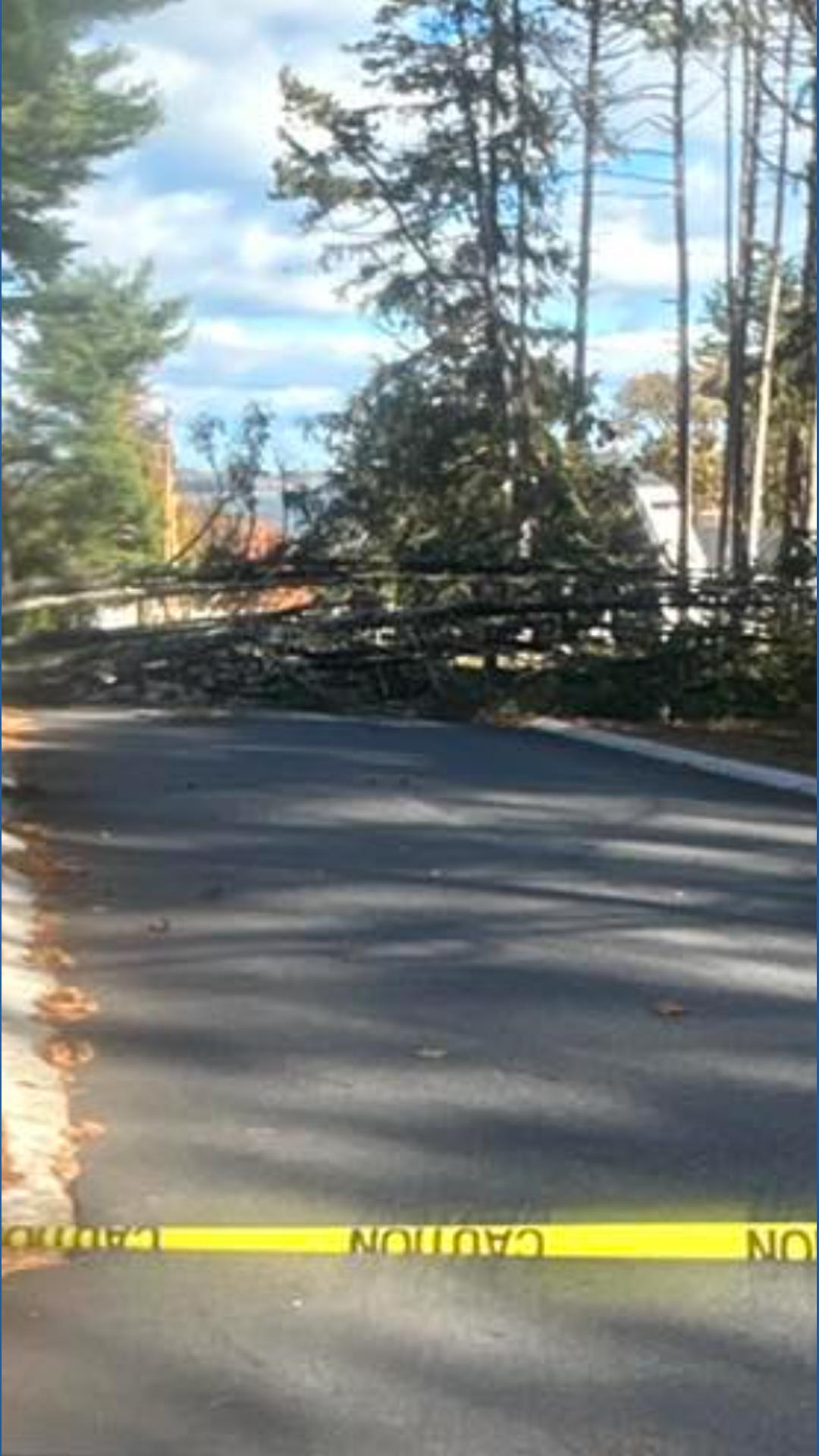 Thousands without power in Maine due to strong wind gusts, downed trees ...