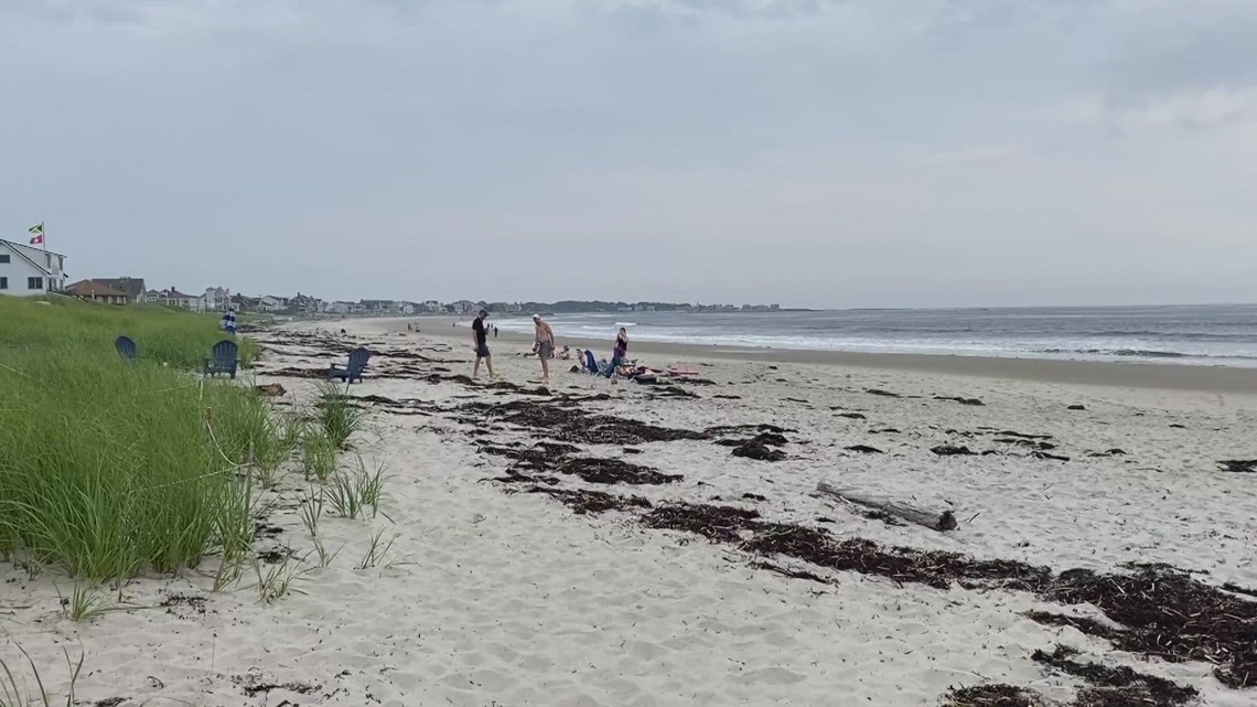 Shark sighting at beach in Biddeford confirmed to be great white by ...