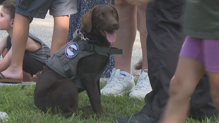 Comfort dog joins the force at a NH police department