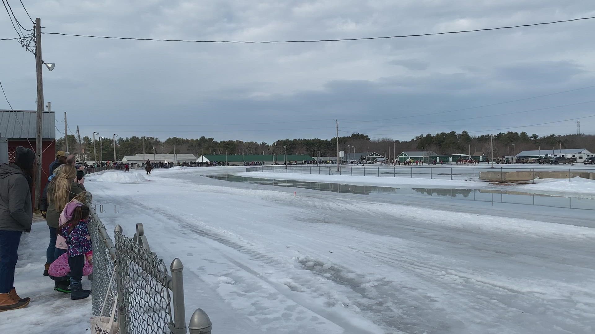 Horse and skier highlight from skijoring event in Topsham, Maine