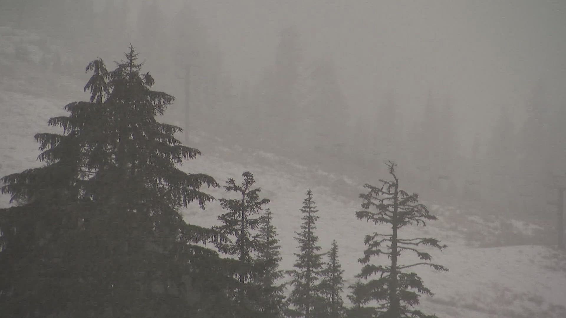 Heavy snow hit some of Washington's most popular ski areas. 