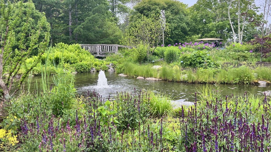 Coastal Maine Botanical Gardens had a big year in 2021 - Vimarsana News