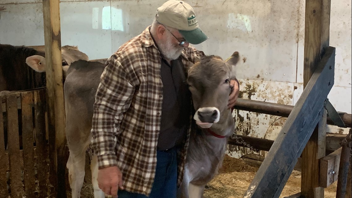 Maine farmers impacted by PFAS worry funds won't go far enough - Vimarsana News